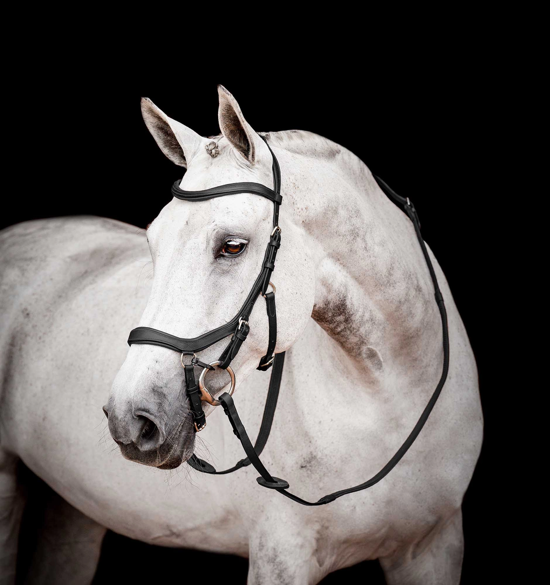Micklem 2.0 Competition Bridle, Black