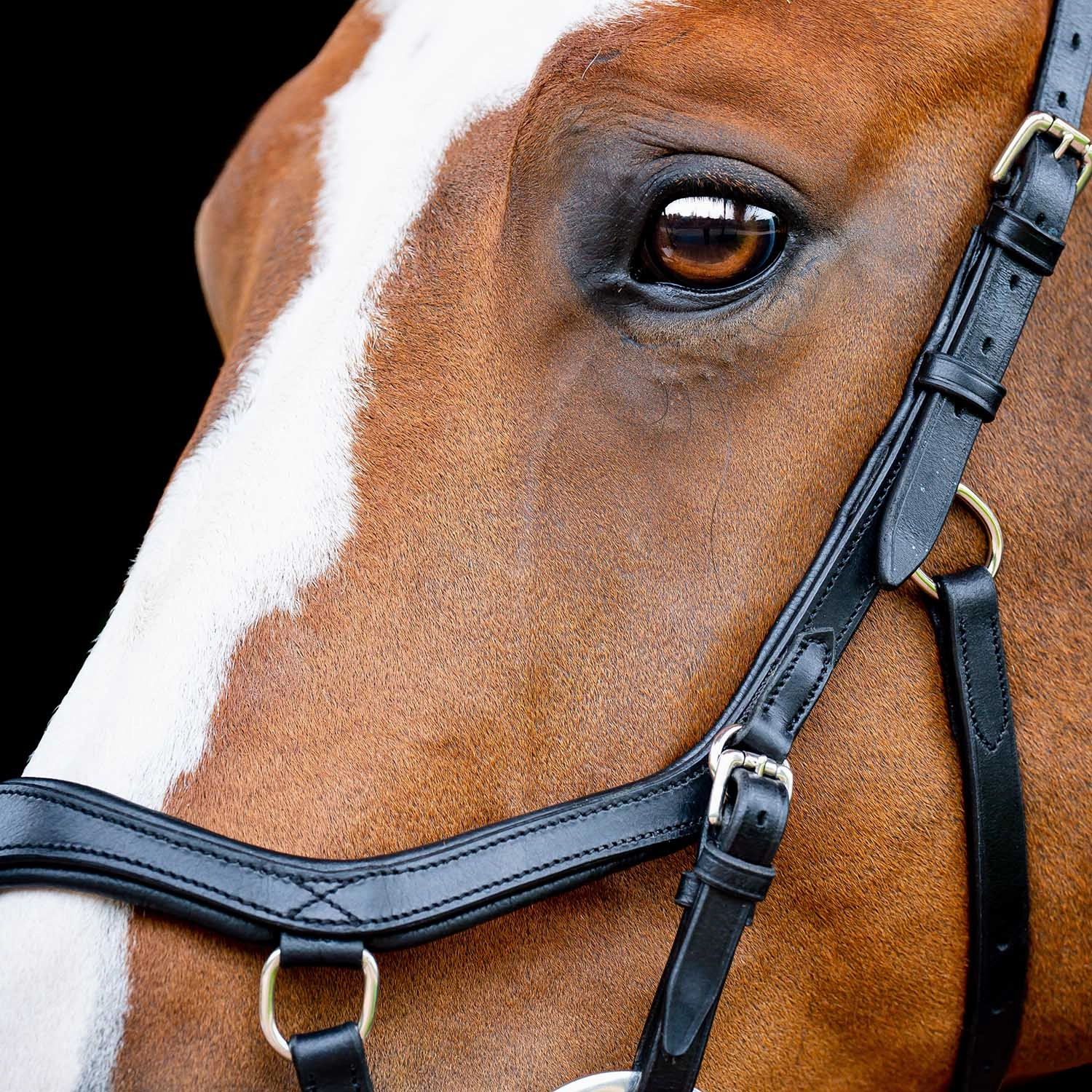 Micklem 2.0 Competition Bridle, Black