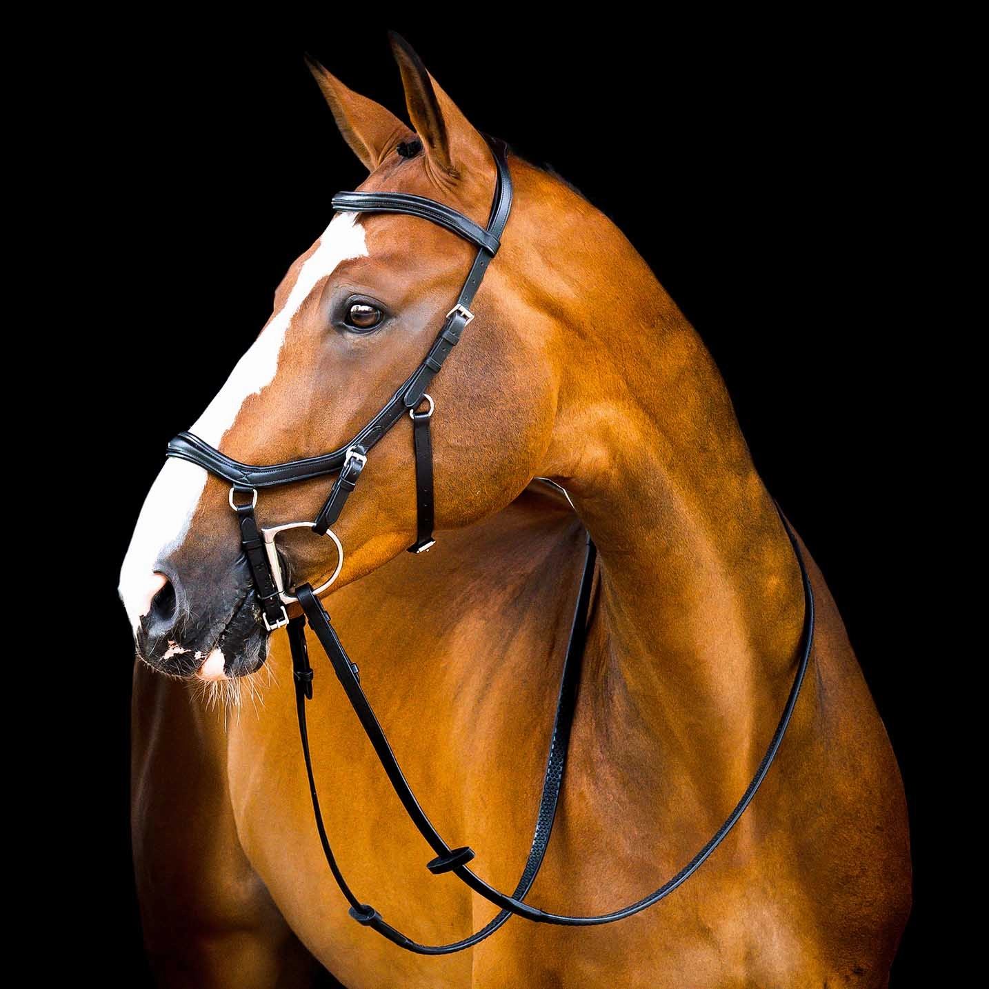 Micklem 2.0 Deluxe Competition Bridle, Black
