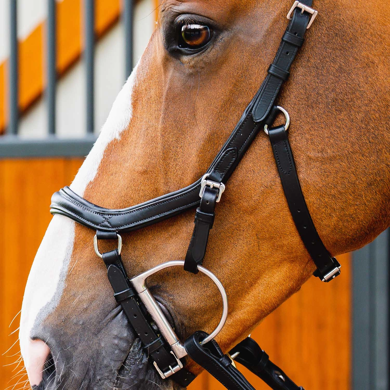 Micklem 2.0 Deluxe Competition Bridle, Black