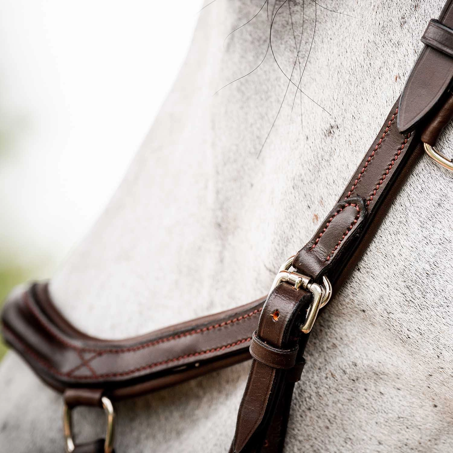Micklem 2.0 Deluxe Competition Bridle, Havana