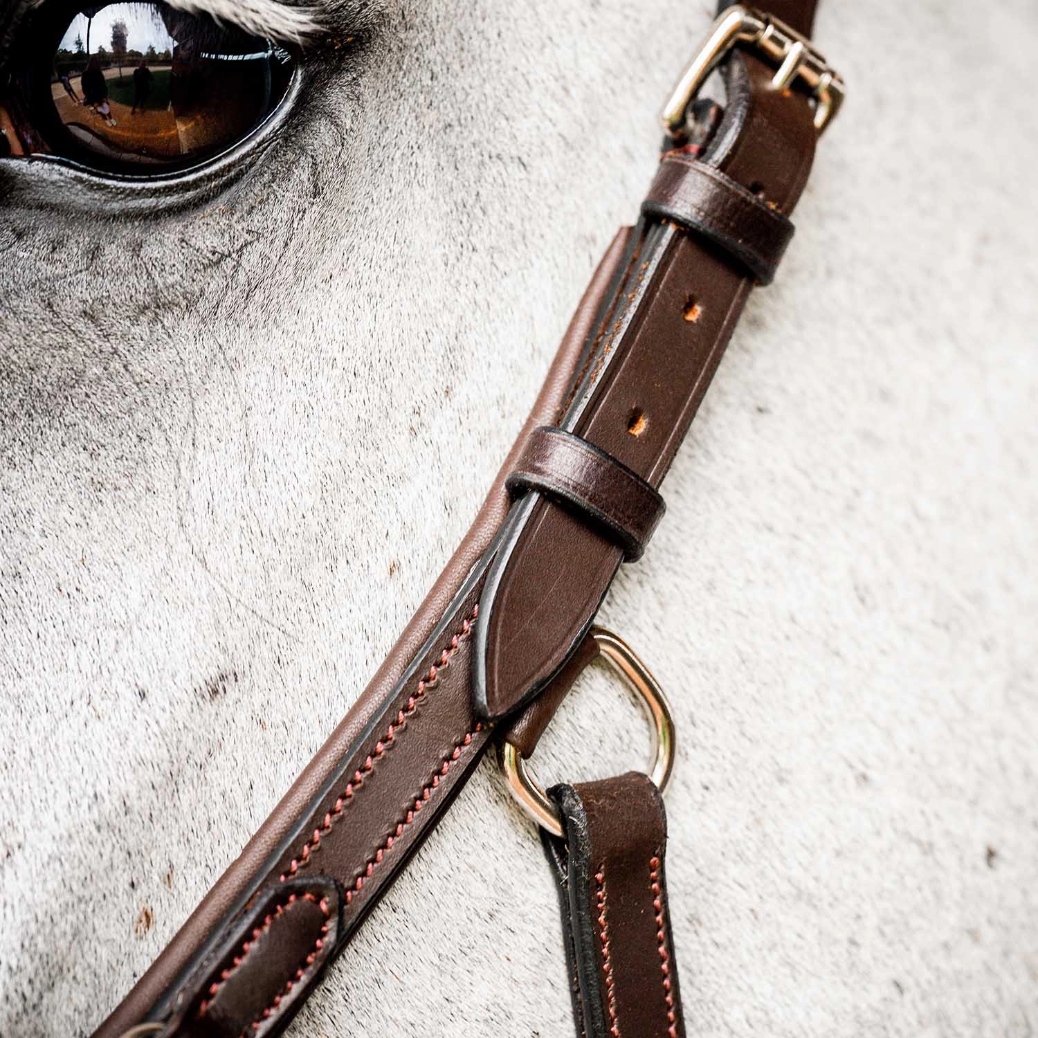 Micklem 2.0 Deluxe Competition Bridle, Havana