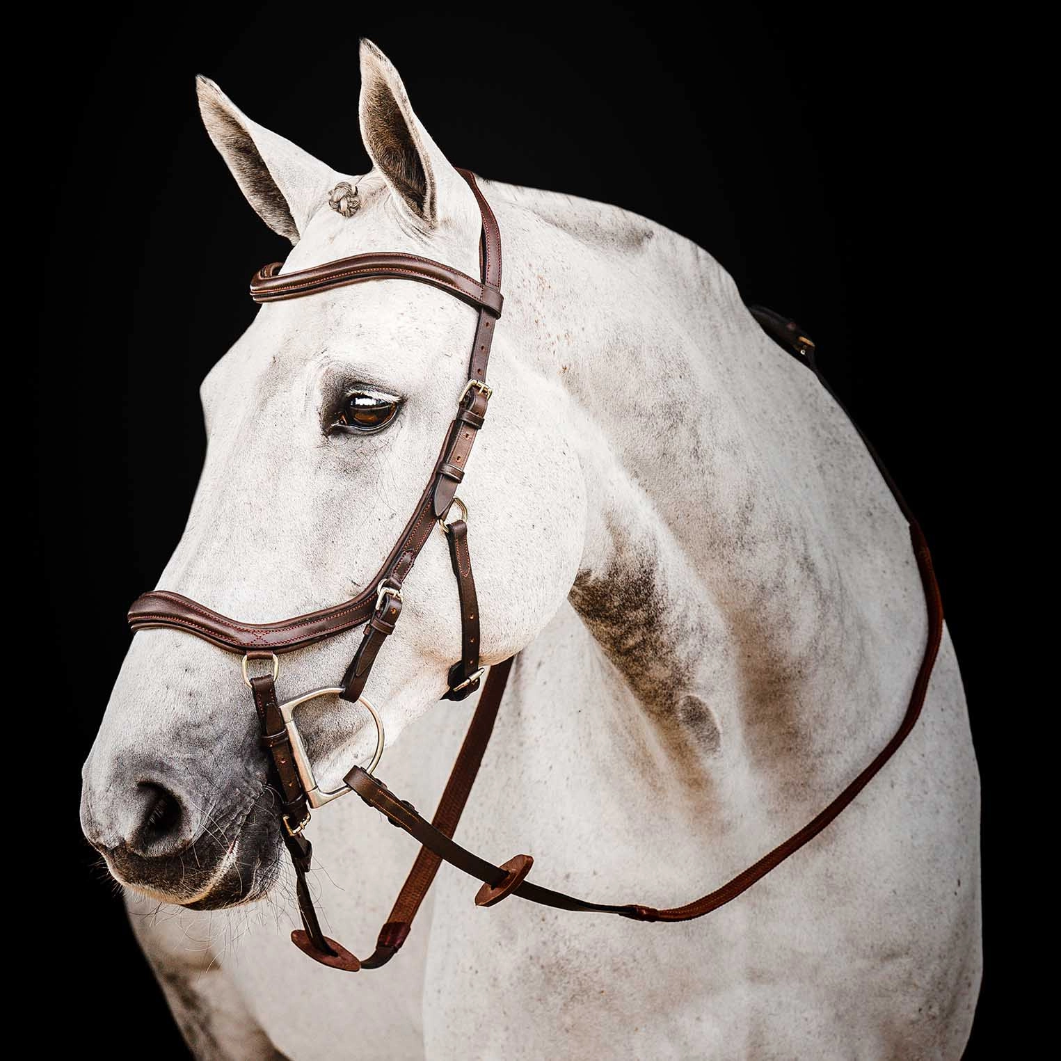 Micklem 2.0 Deluxe Competition Bridle, Havana