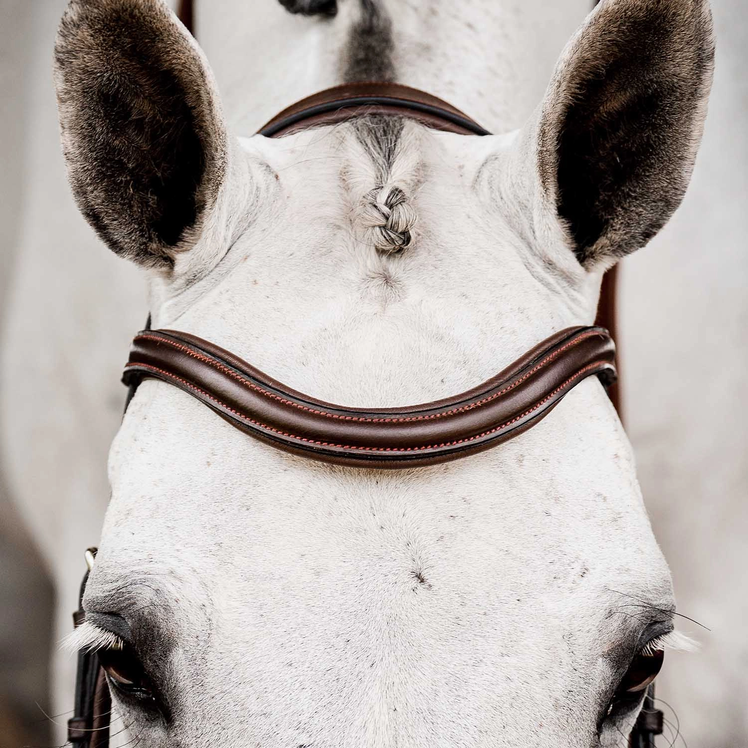 Micklem 2.0 Deluxe Competition Bridle, Havana