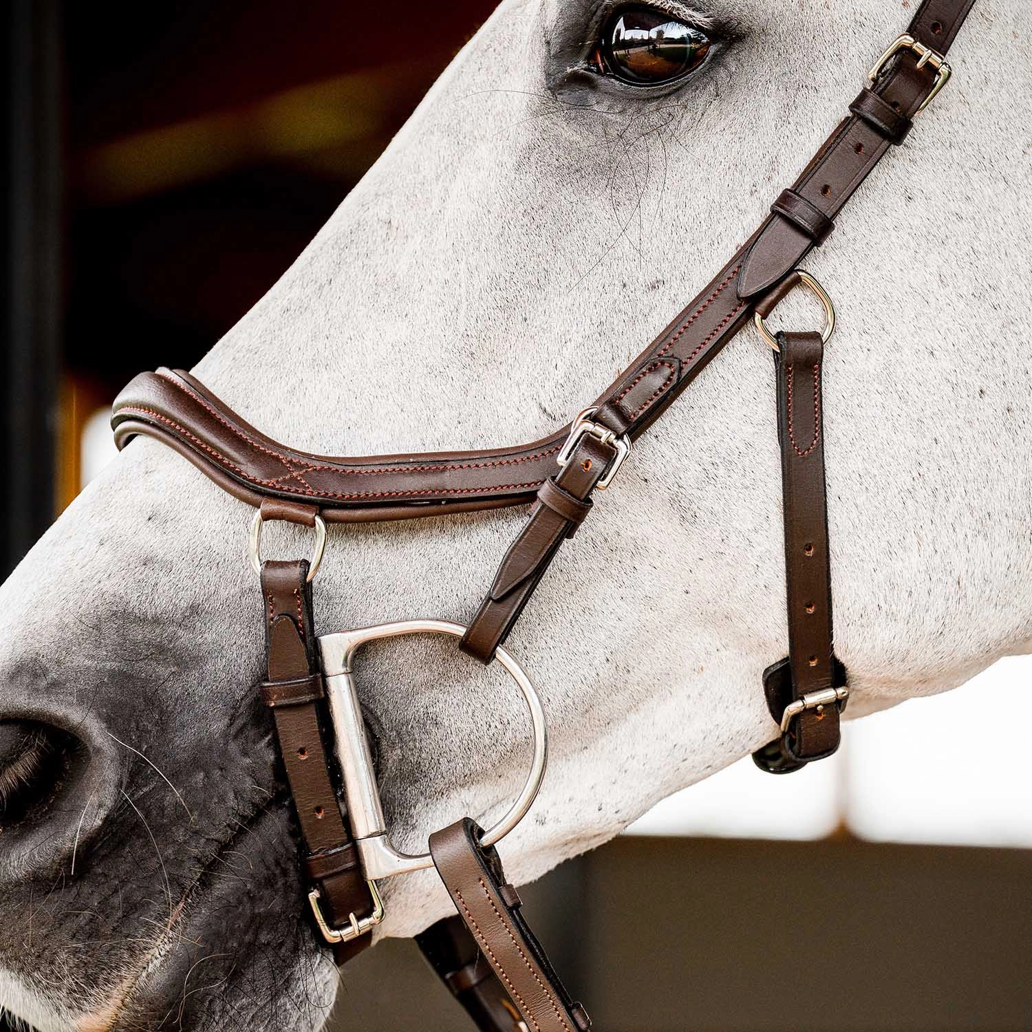 Micklem 2.0 Deluxe Competition Bridle, Havana