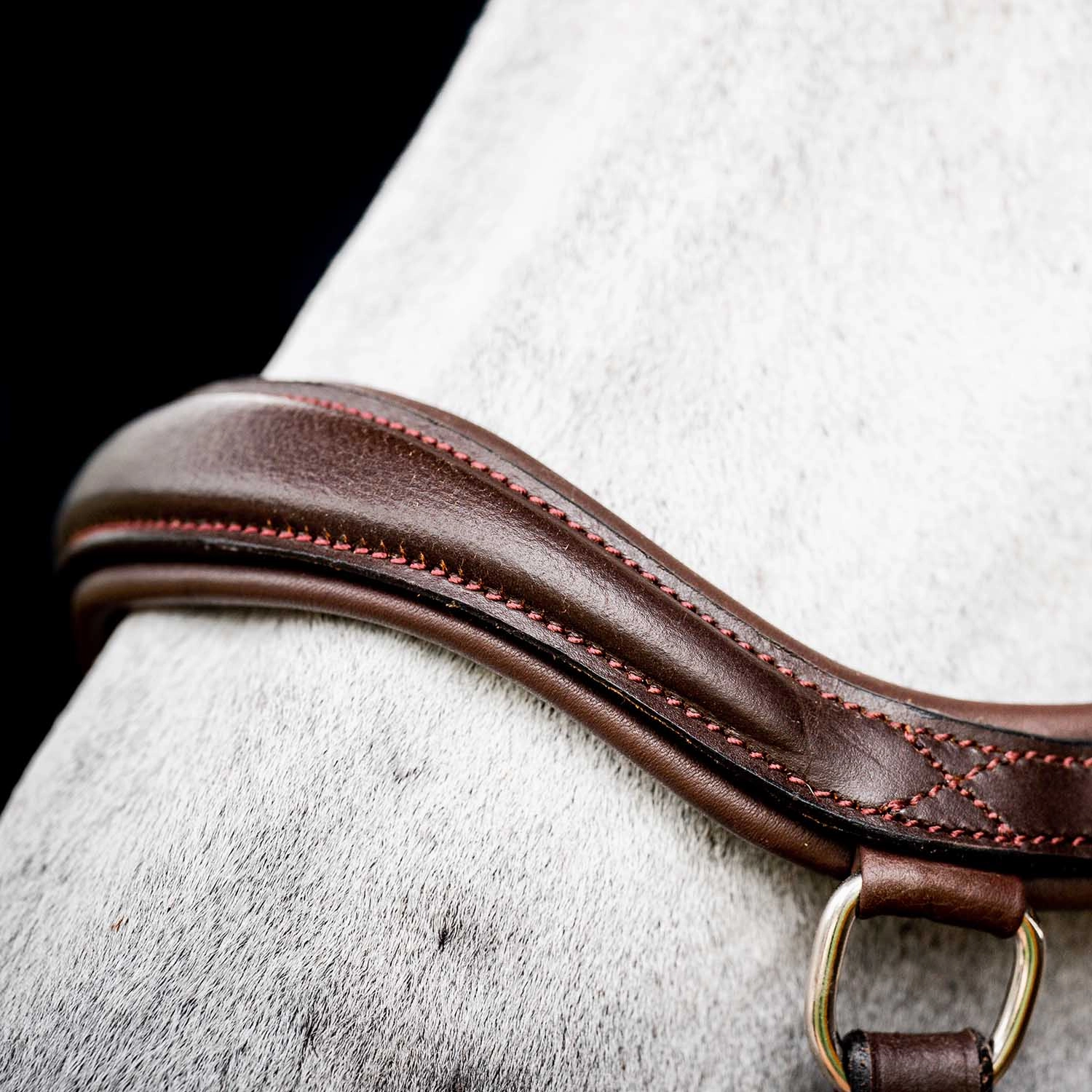 Micklem 2.0 Deluxe Competition Bridle, Havana