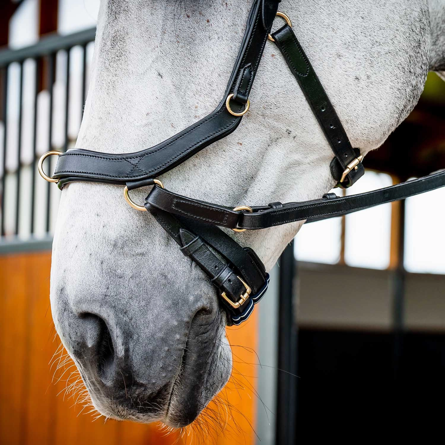 Micklem 2.0 Multi Bridle, Black