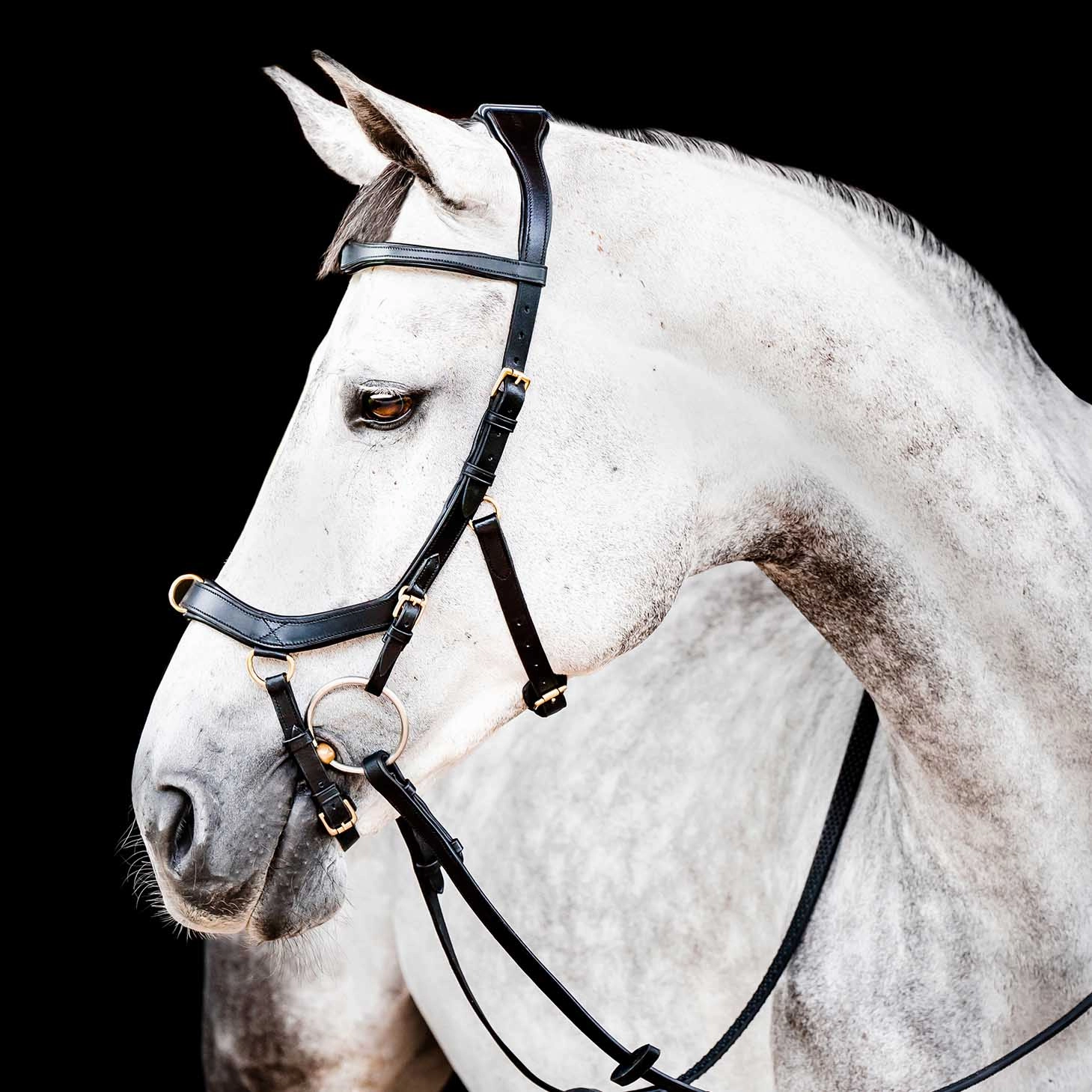 Micklem 2.0 Multi Bridle, Black