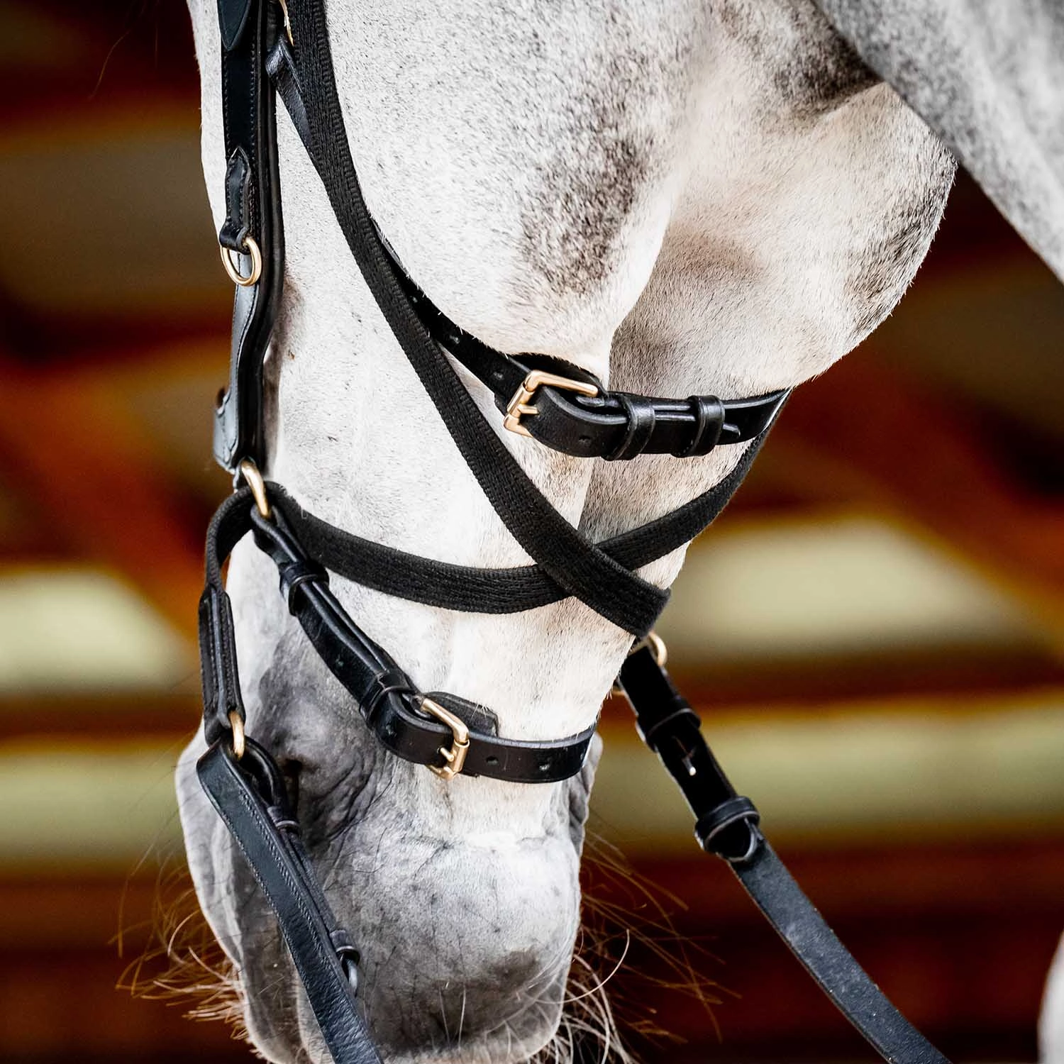 Micklem 2.0 Multi Bridle, Black