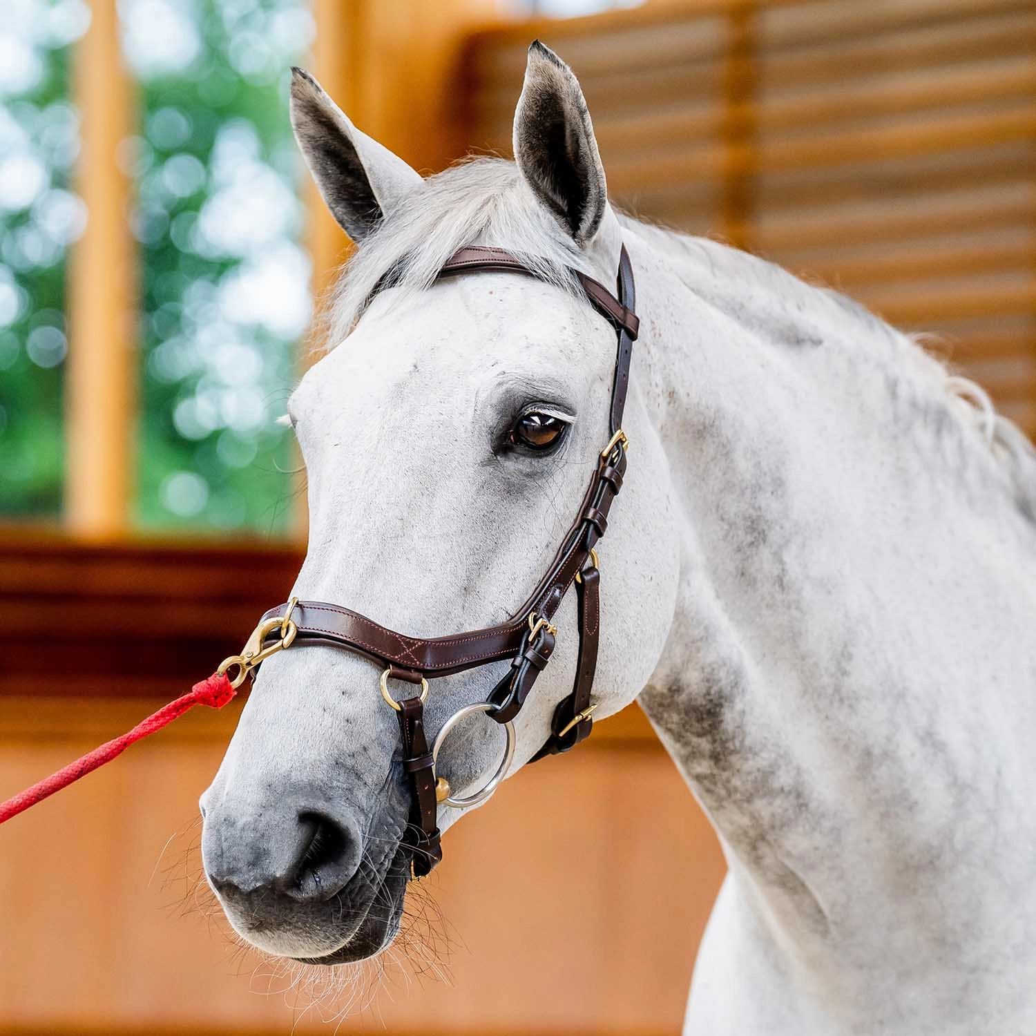 Micklem 2.0 Multi Bridle, Havana