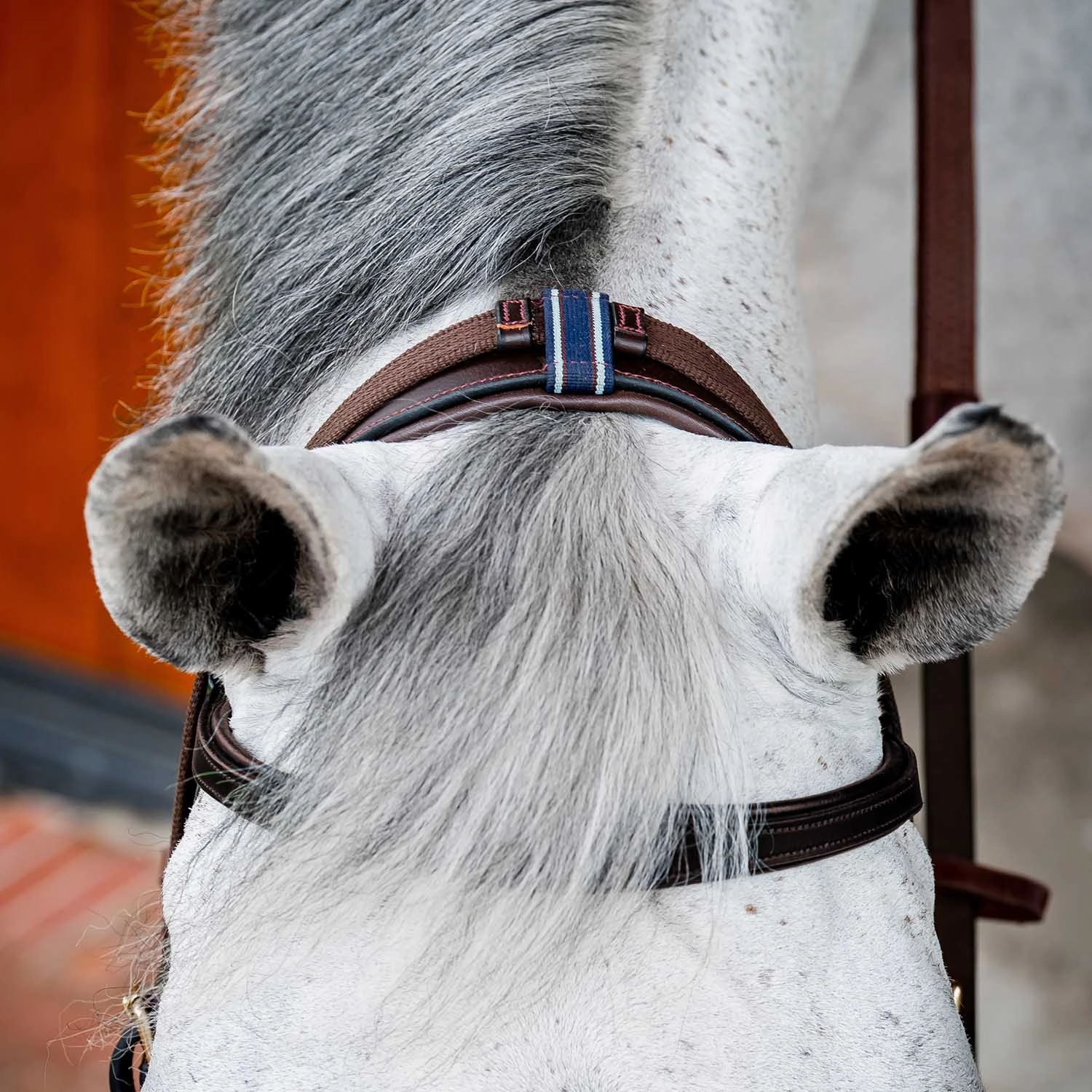 Micklem 2.0 Multi Bridle, Havana