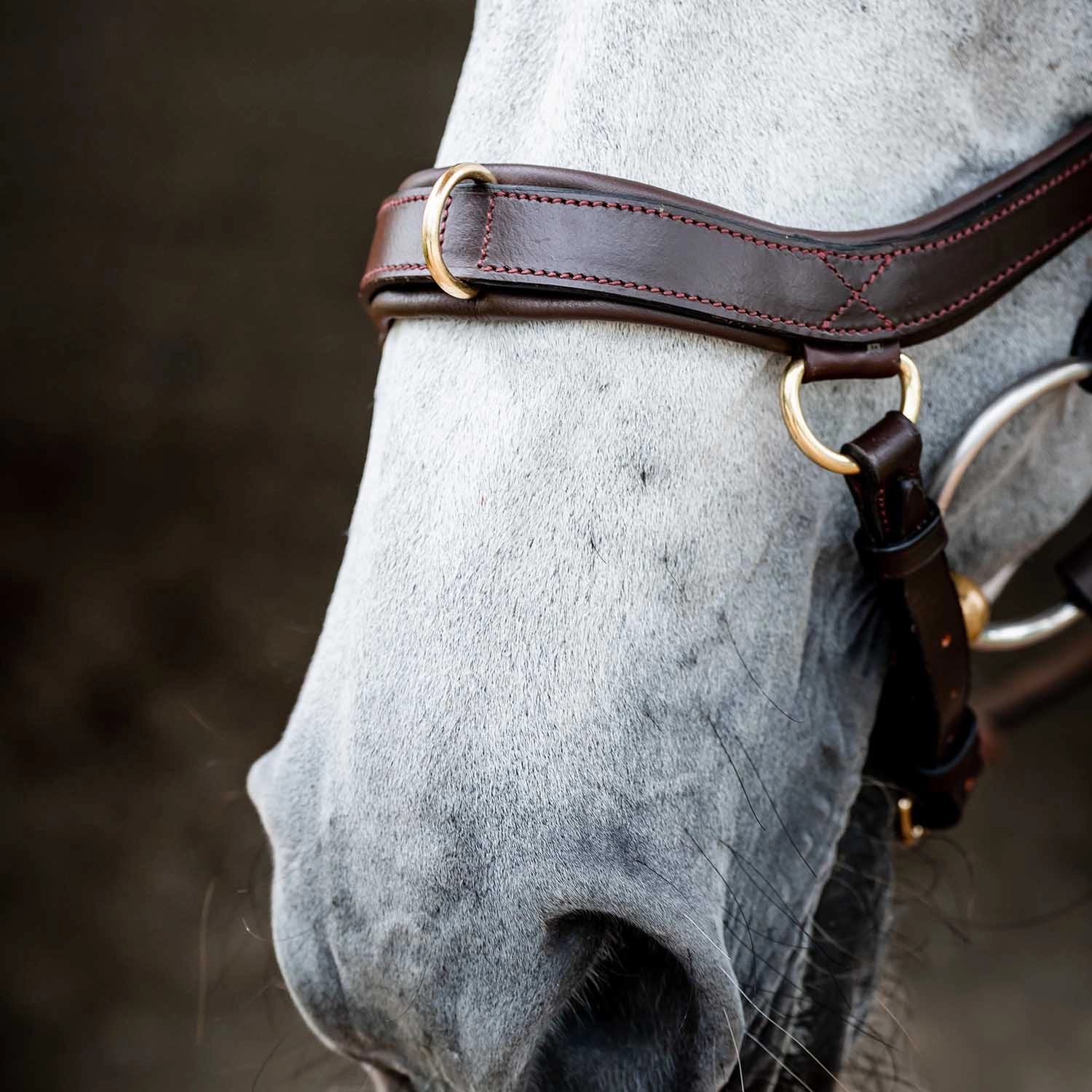 Micklem 2.0 Multi Bridle, Havana