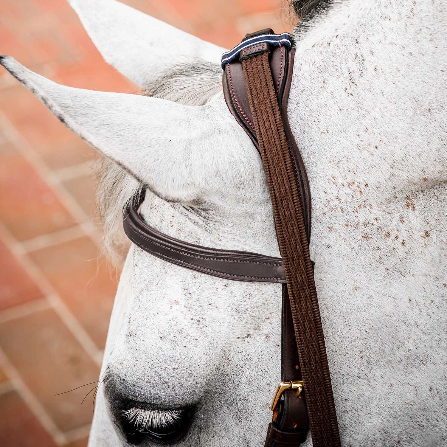 Micklem 2.0 Multi Bridle, Havana