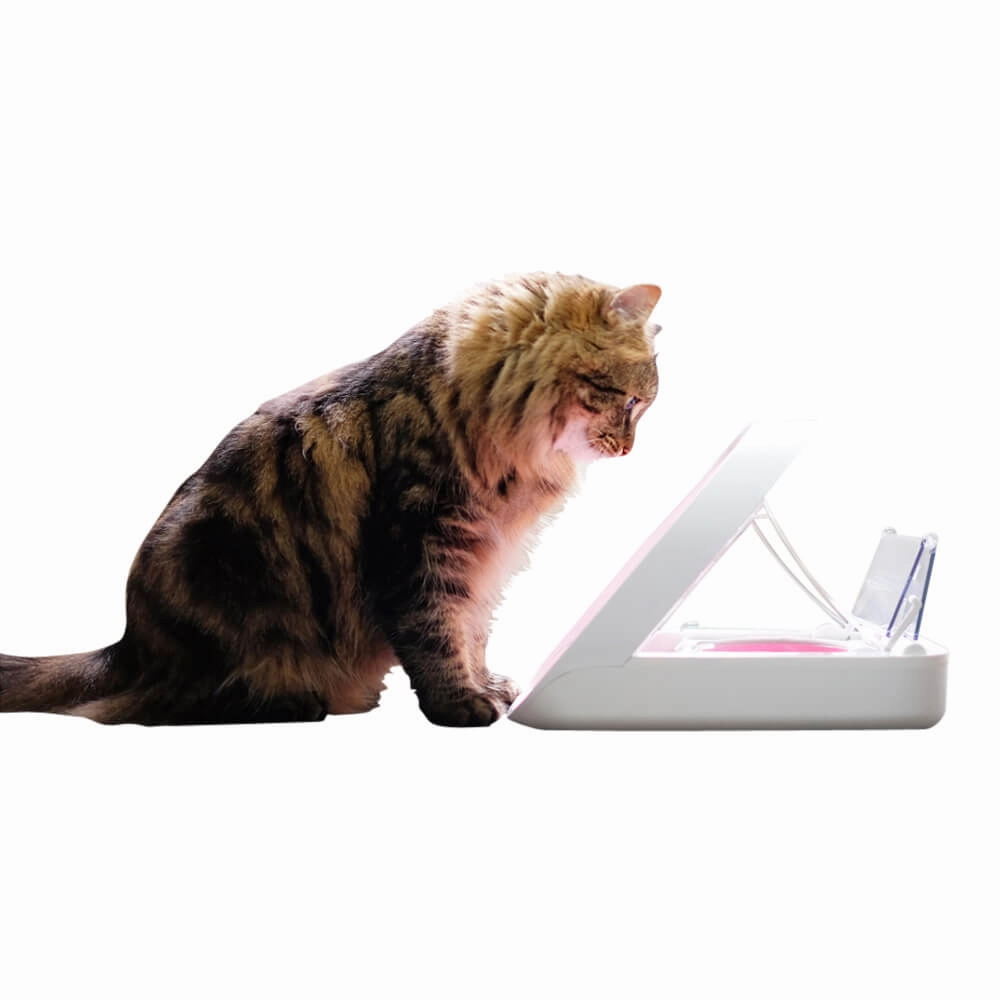 Microchip Pet Feeder
