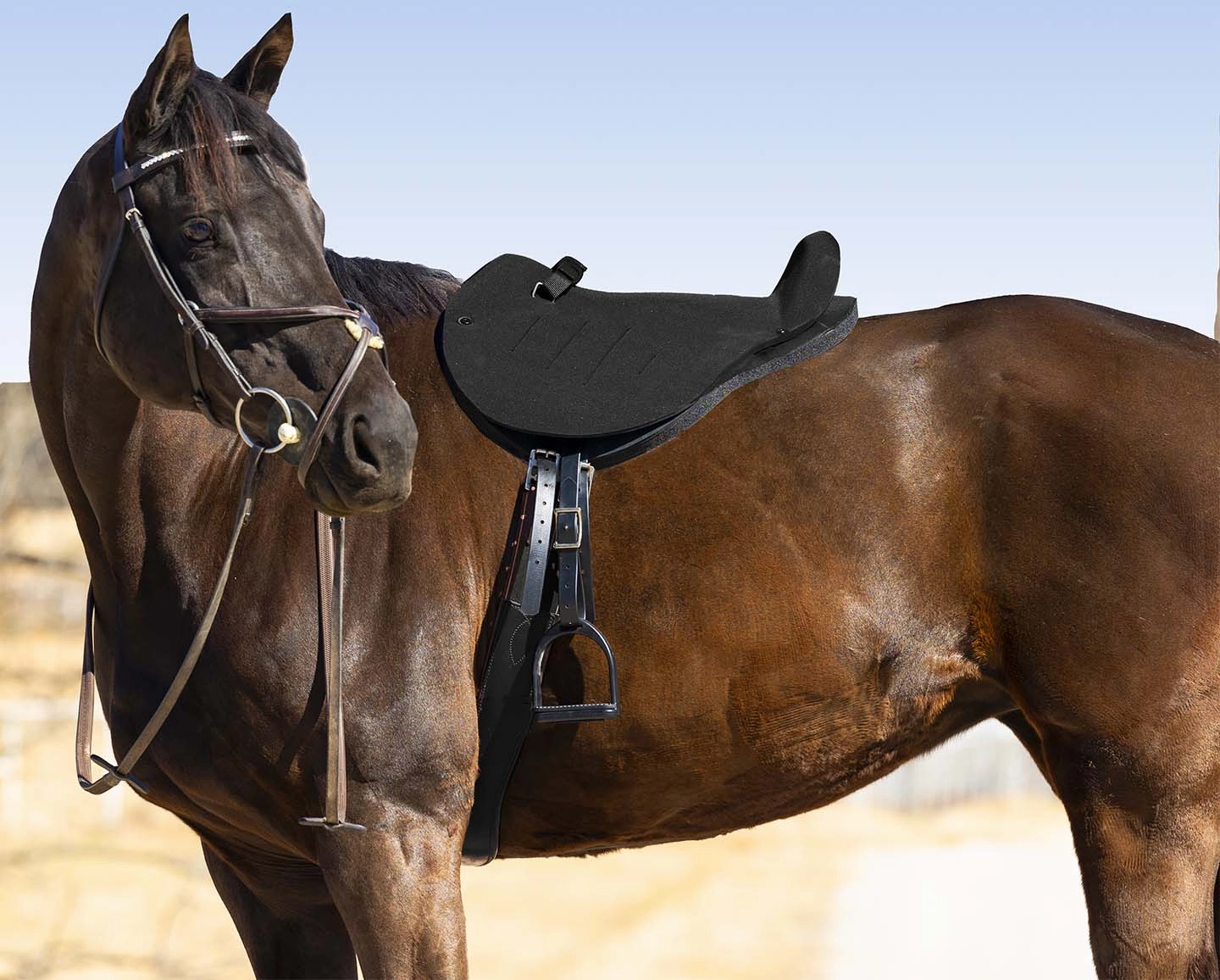 Mustang English Soft Ride, Black