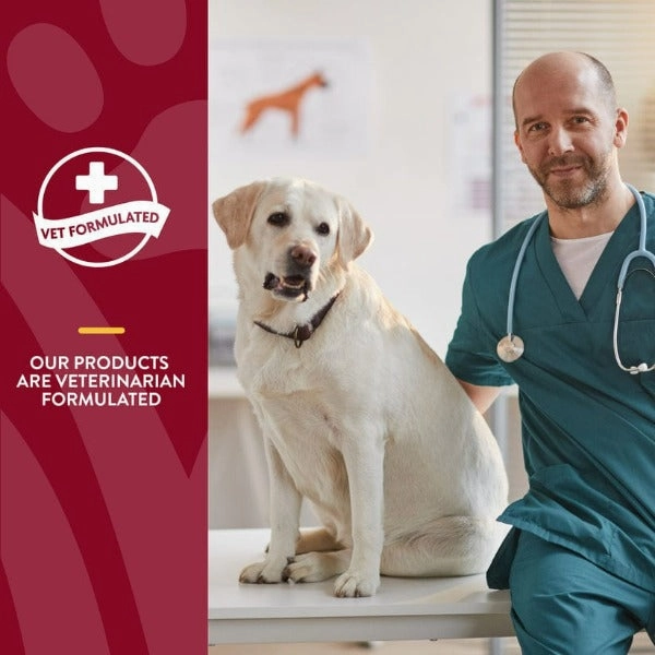 NaturVet Bladder Support plus Cranberry Soft Chews For Dogs