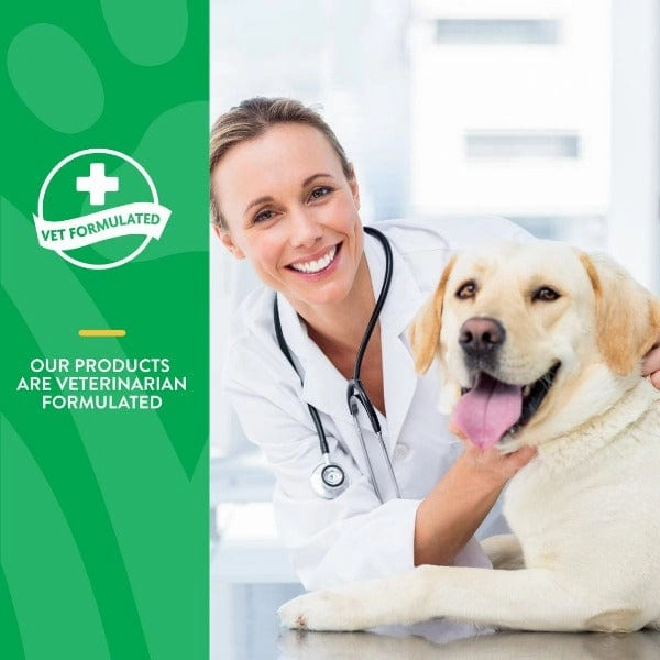 NaturVet Digestive Enzymes Plus Prebiotics & Probiotics Soft Chews for Dogs