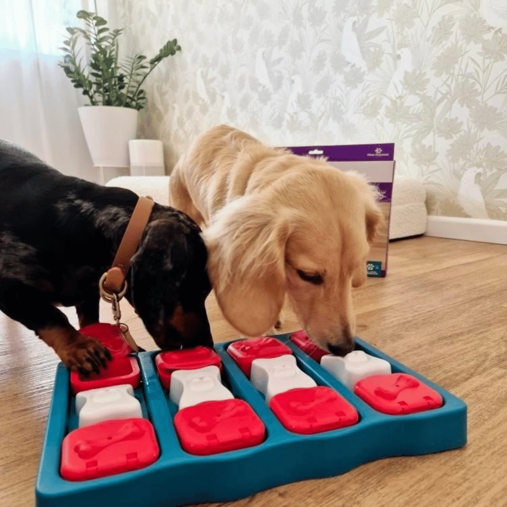 Nina Ottosson - Dog Brick
