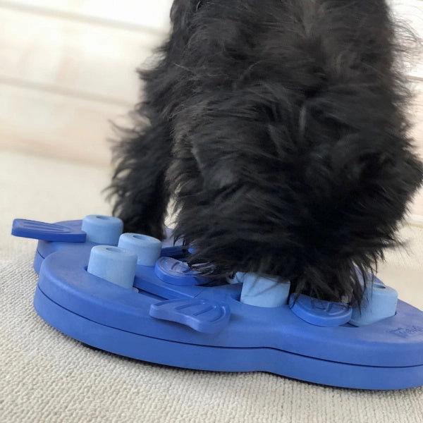 Nina Ottosson - Dog Hide N Slide Composite Blue