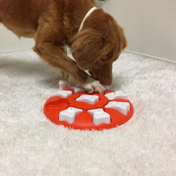 Nina Ottosson - Dog Smart