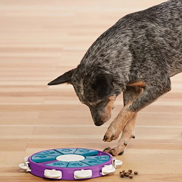 Nina Ottosson - Dog Twister