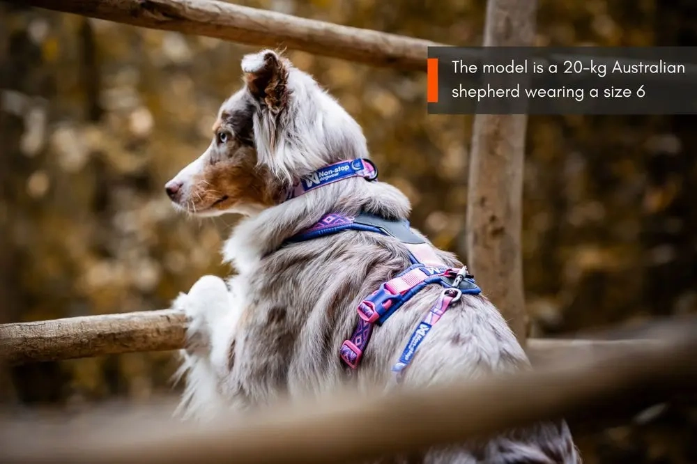 Non-Stop Dog Wear : Rachel Pohl Signature Series Line Harness 5.0 Purple/Pink