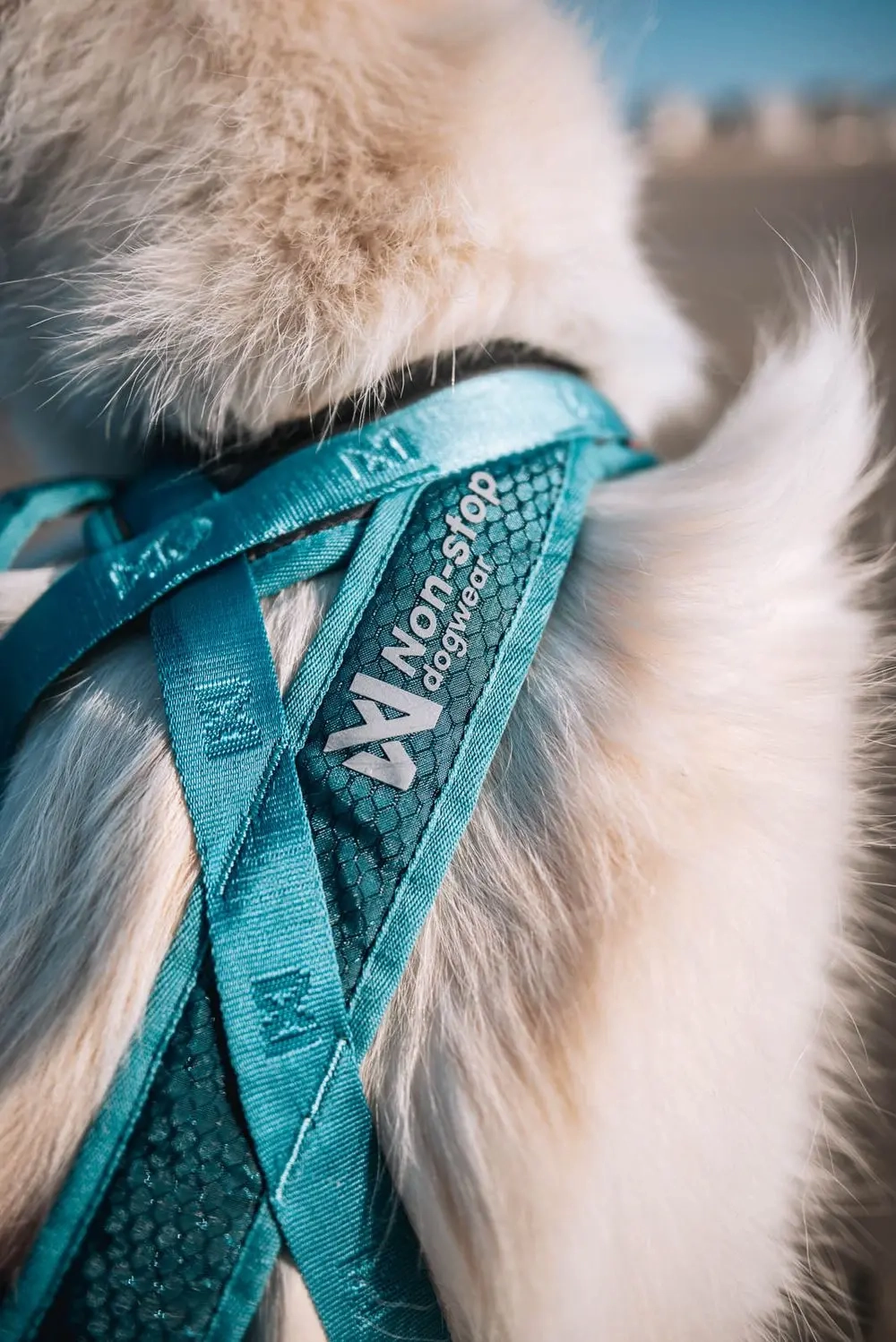 Non-Stop Dog Wear : Rush Harness