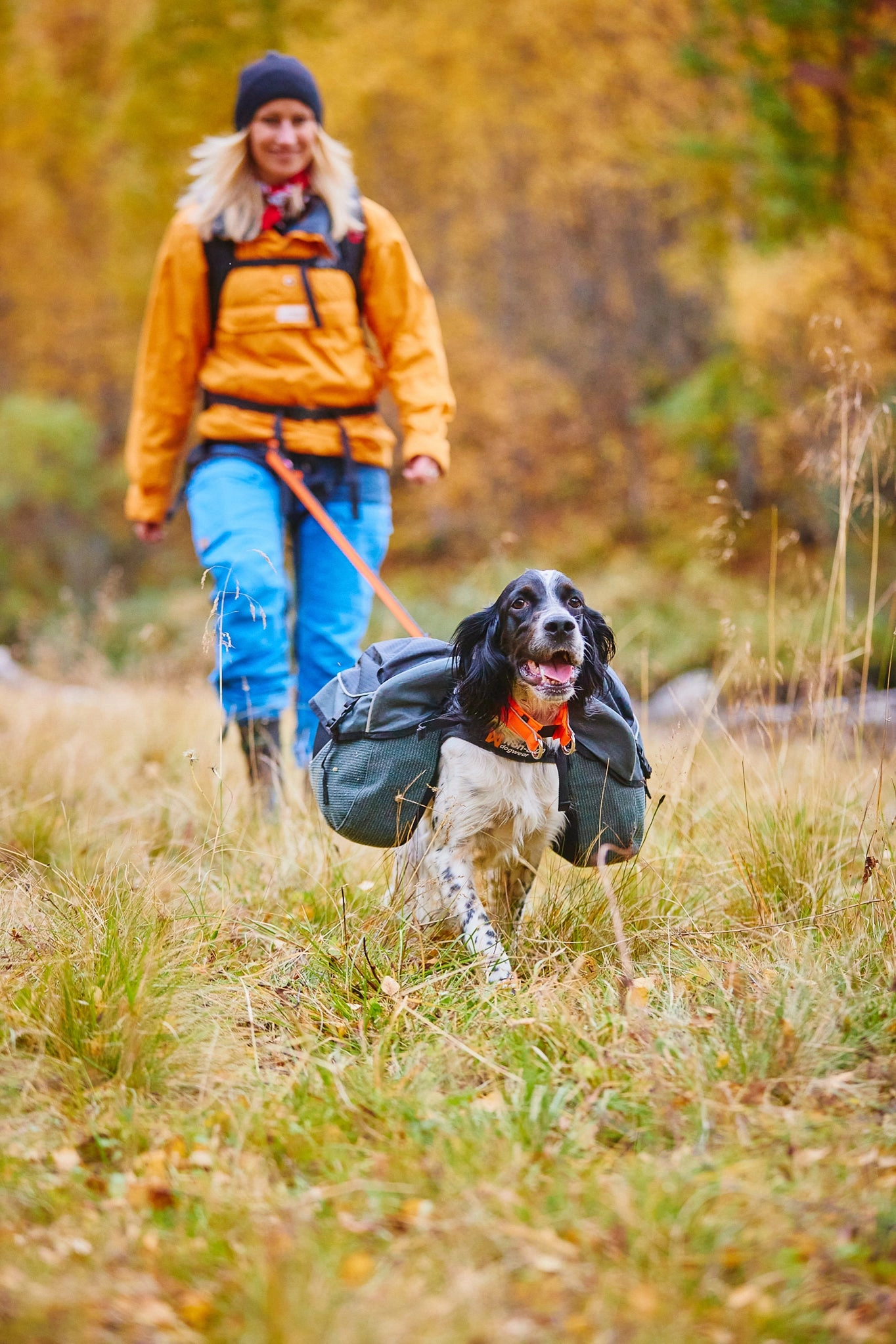 Non-Stop Dog Wear: Amundsen Pack