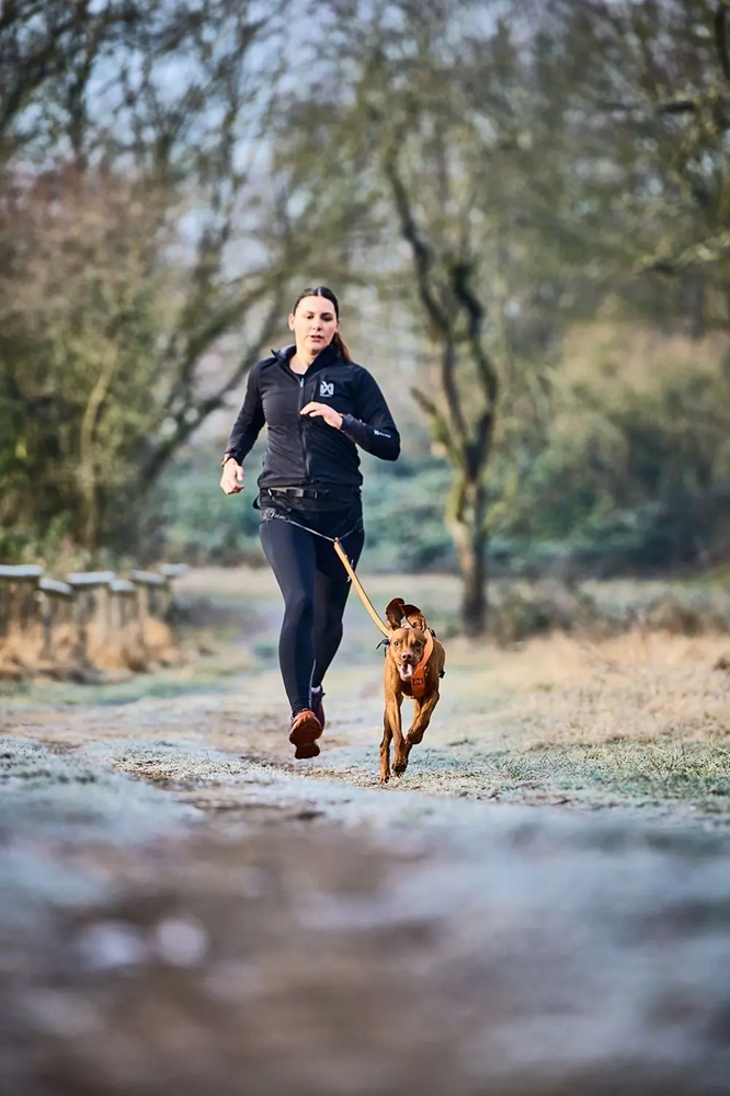 Non-Stop Dog Wear: Canix Belt 2.0