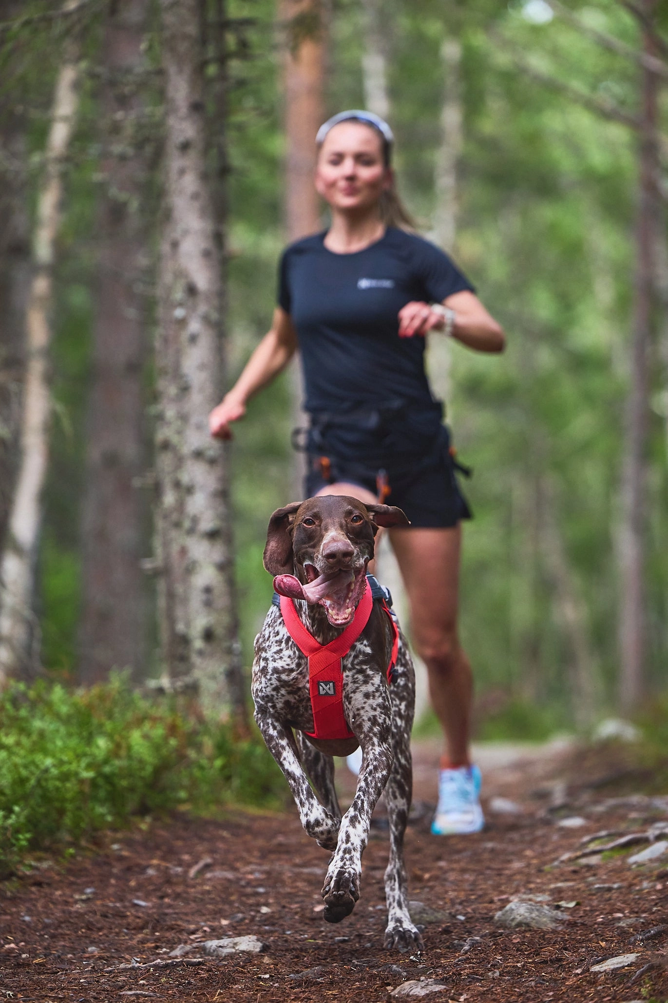 Non-Stop Dog Wear: Freemotion Harness 5.0