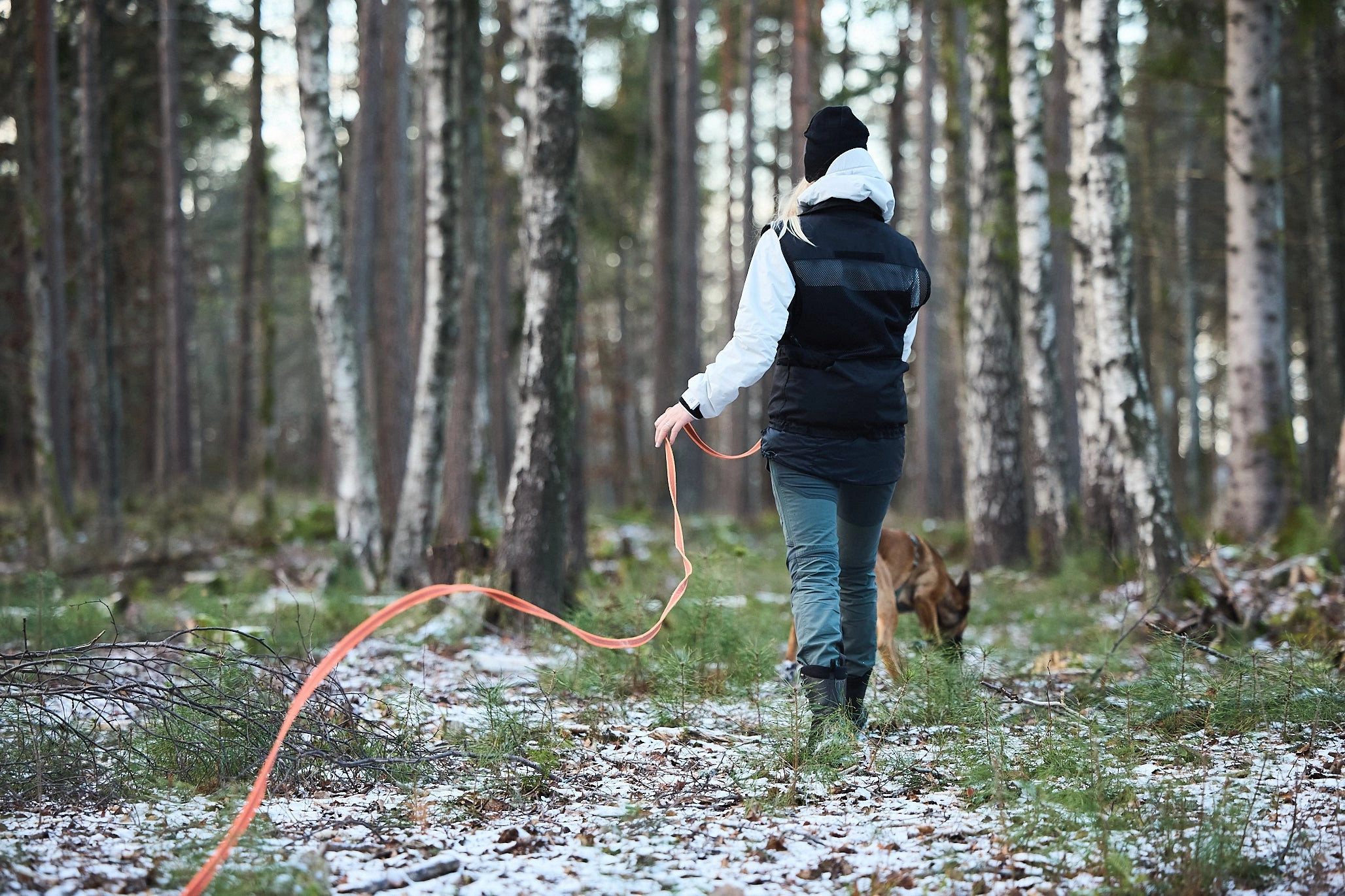 Non-Stop Dog Wear: Friction Long Line 15m and 10m