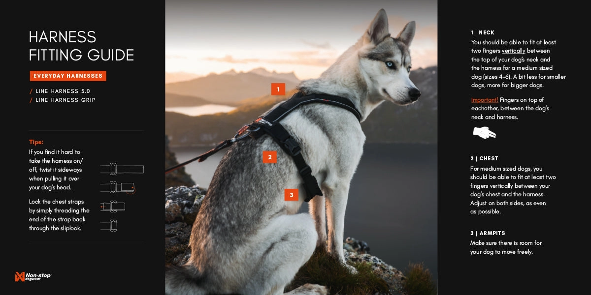 Non-Stop Dog Wear: Line Harness Grip