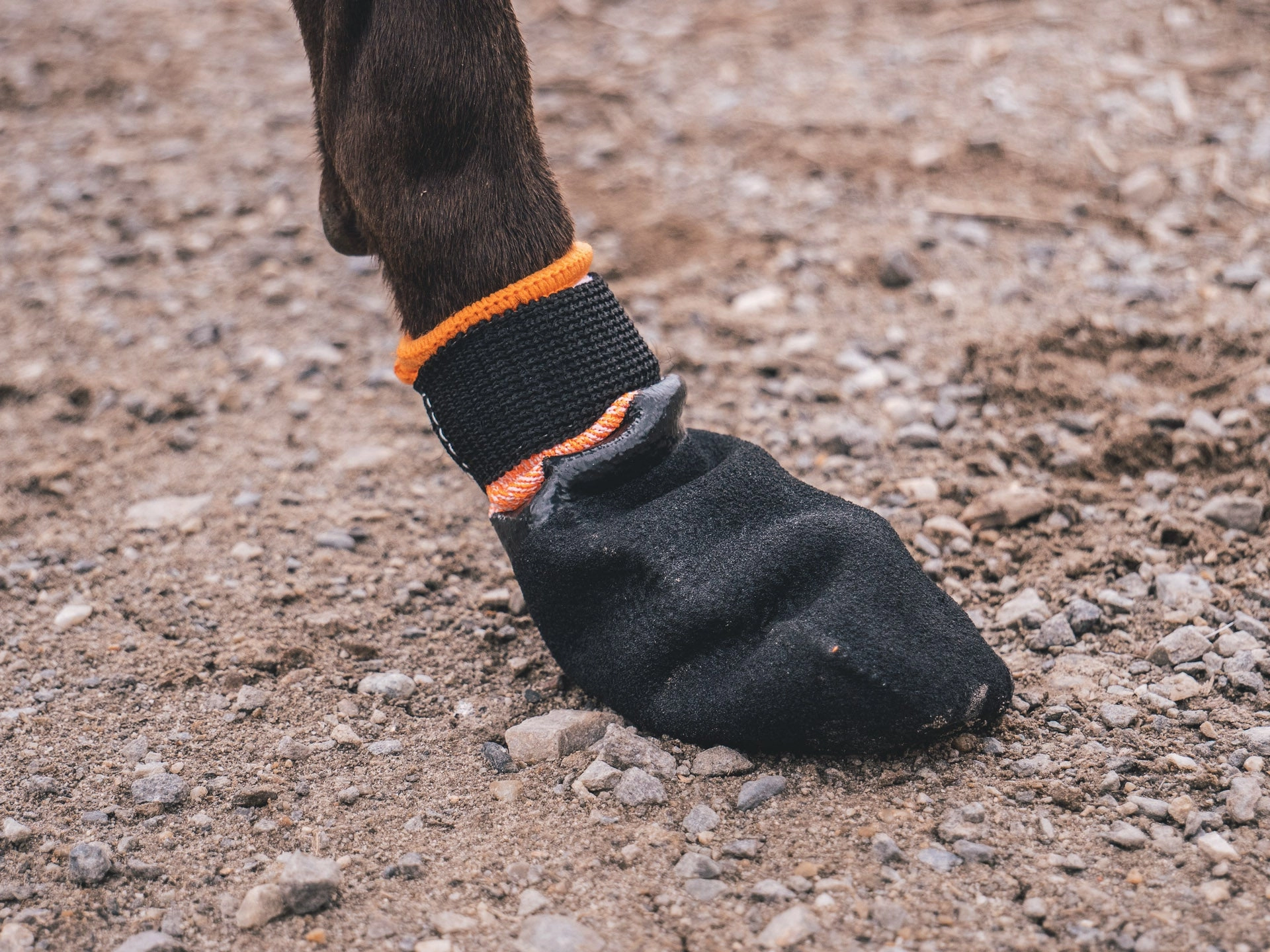 Non-Stop Dog Wear, Protector Booties