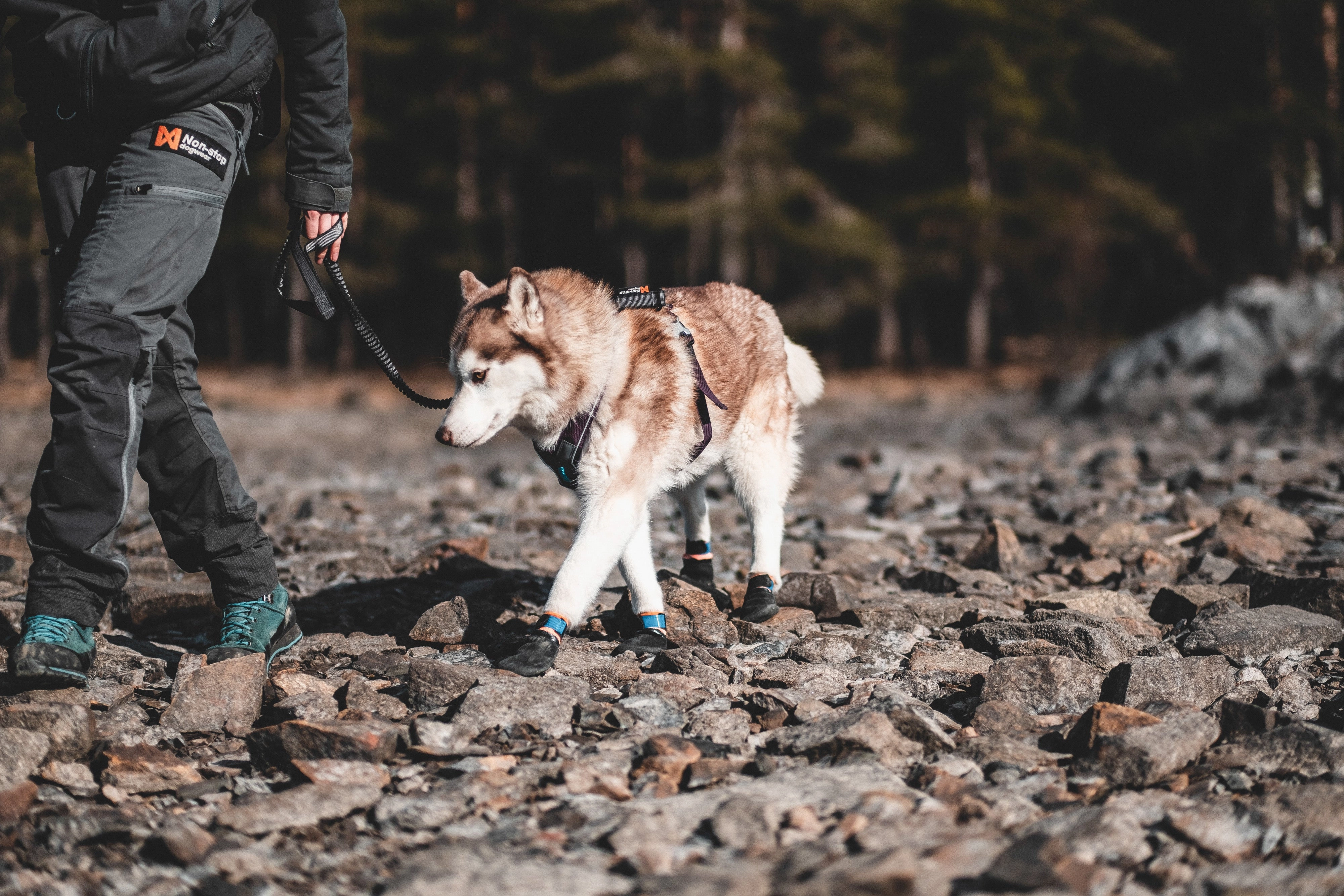 Non-Stop Dog Wear, Protector Booties