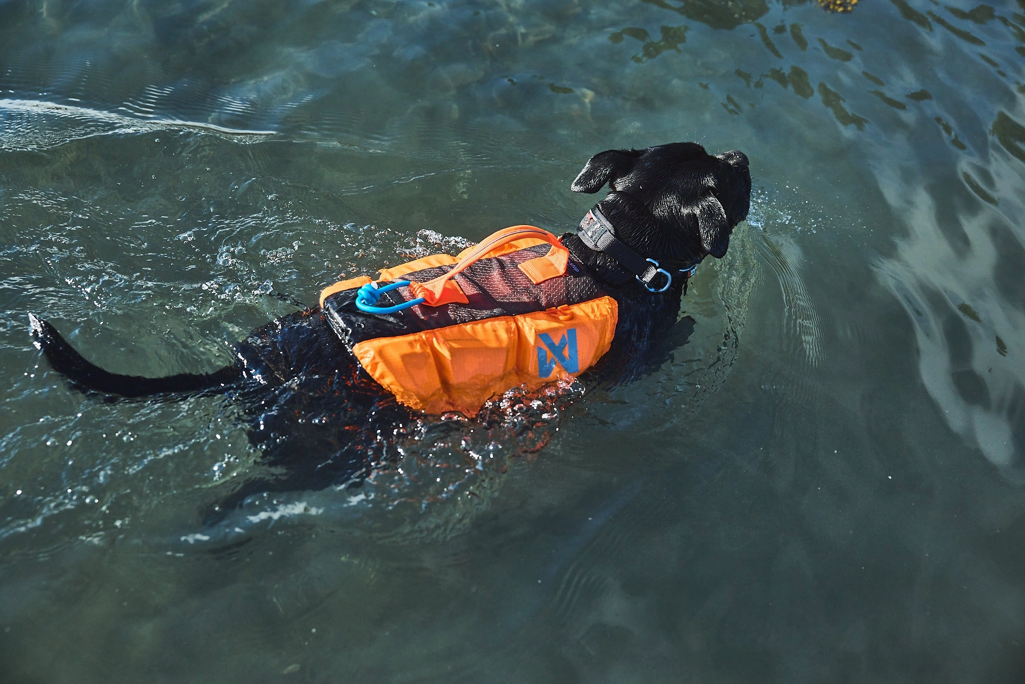 Non-Stop Dog Wear: Protector Life Jacket