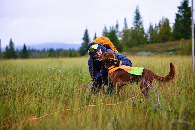 Non-Stop Dog Wear: Protector Round Long Line