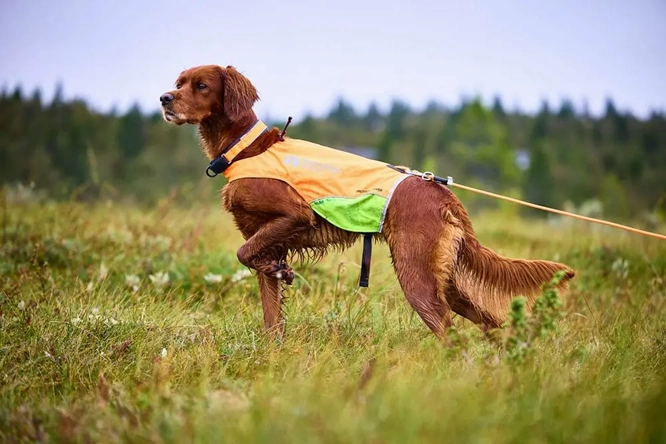 Non-Stop Dog Wear: Protector Round Long Line