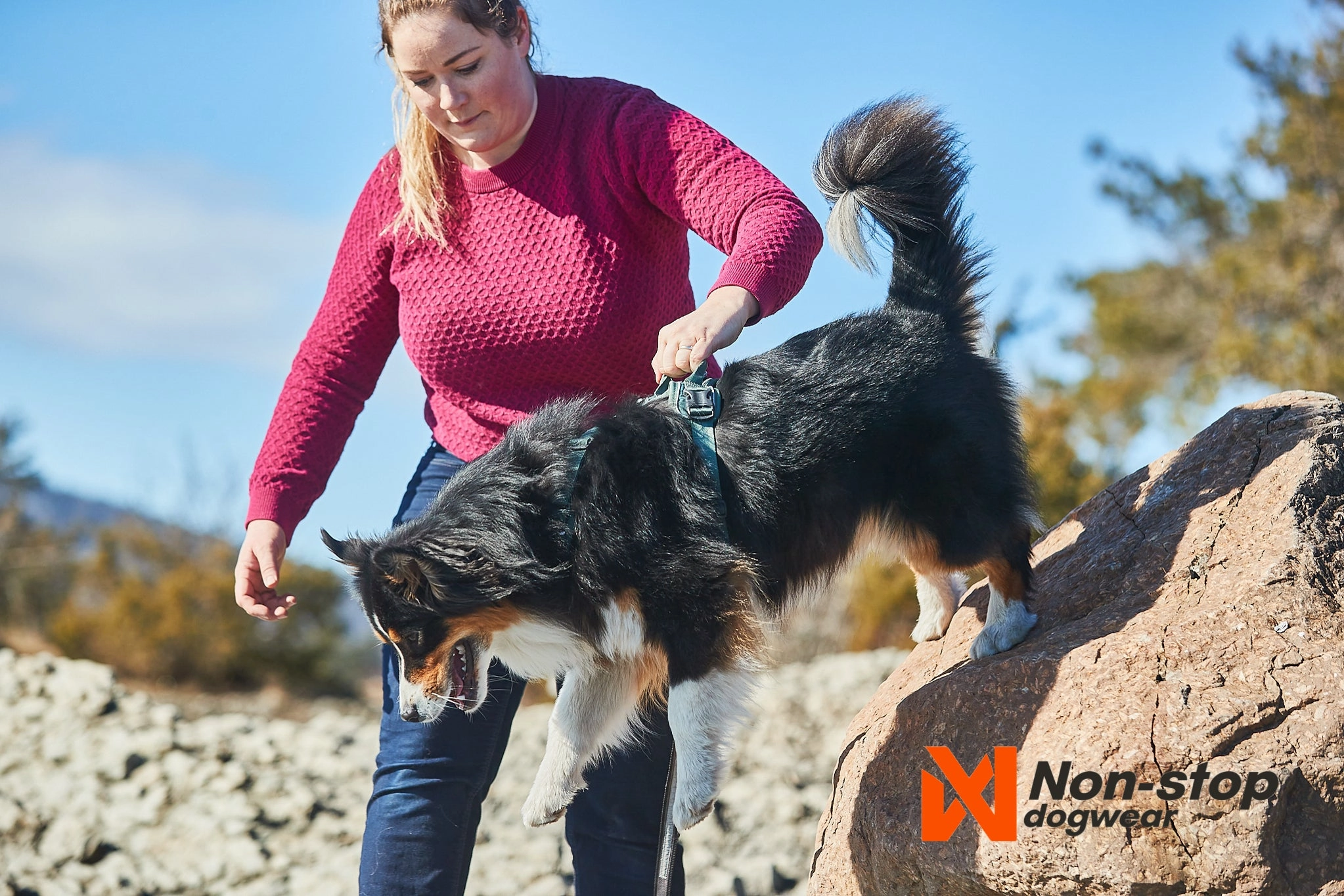 Non-Stop Dog Wear: Ramble Harness
