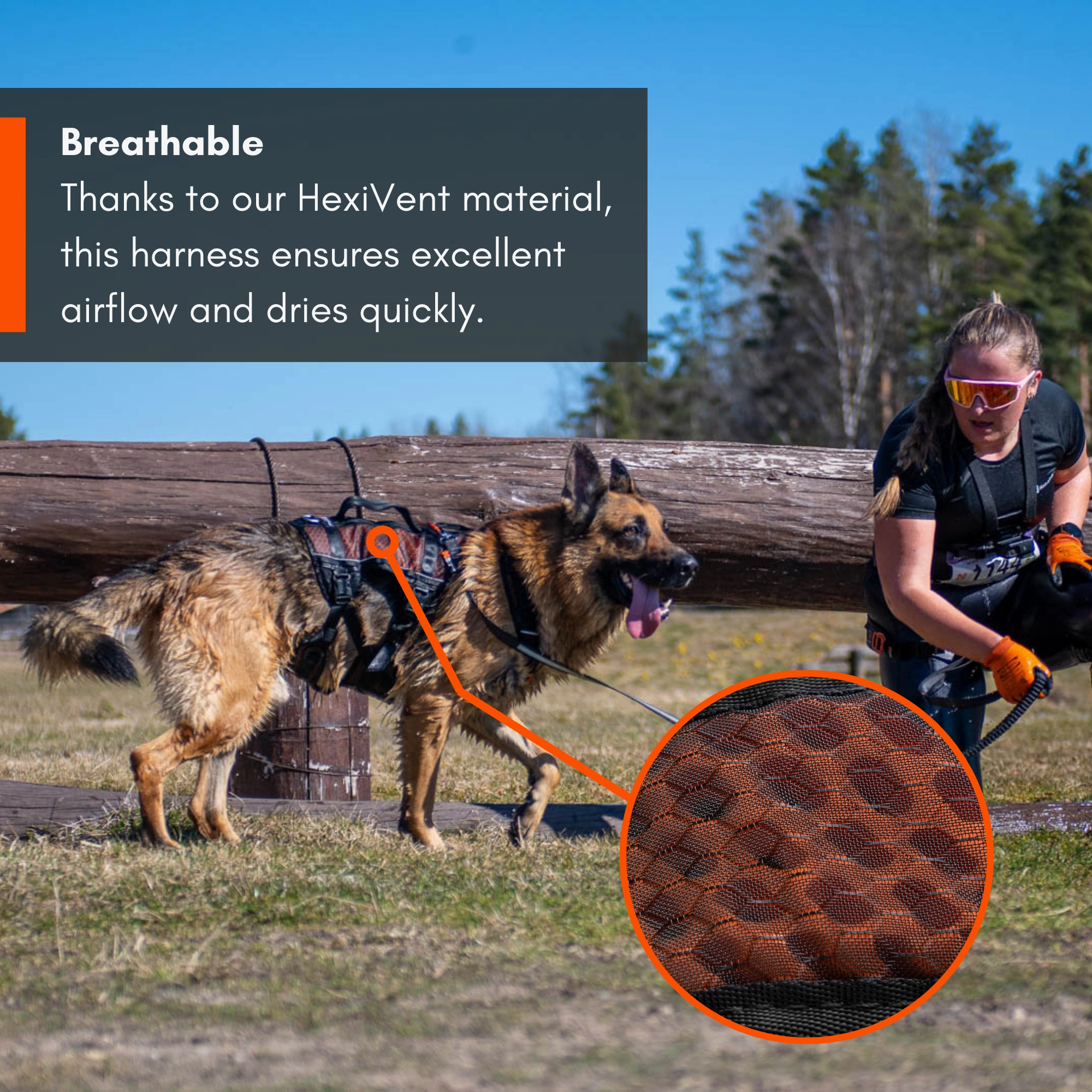 Non-Stop Dog Wear: Rock Harness Long