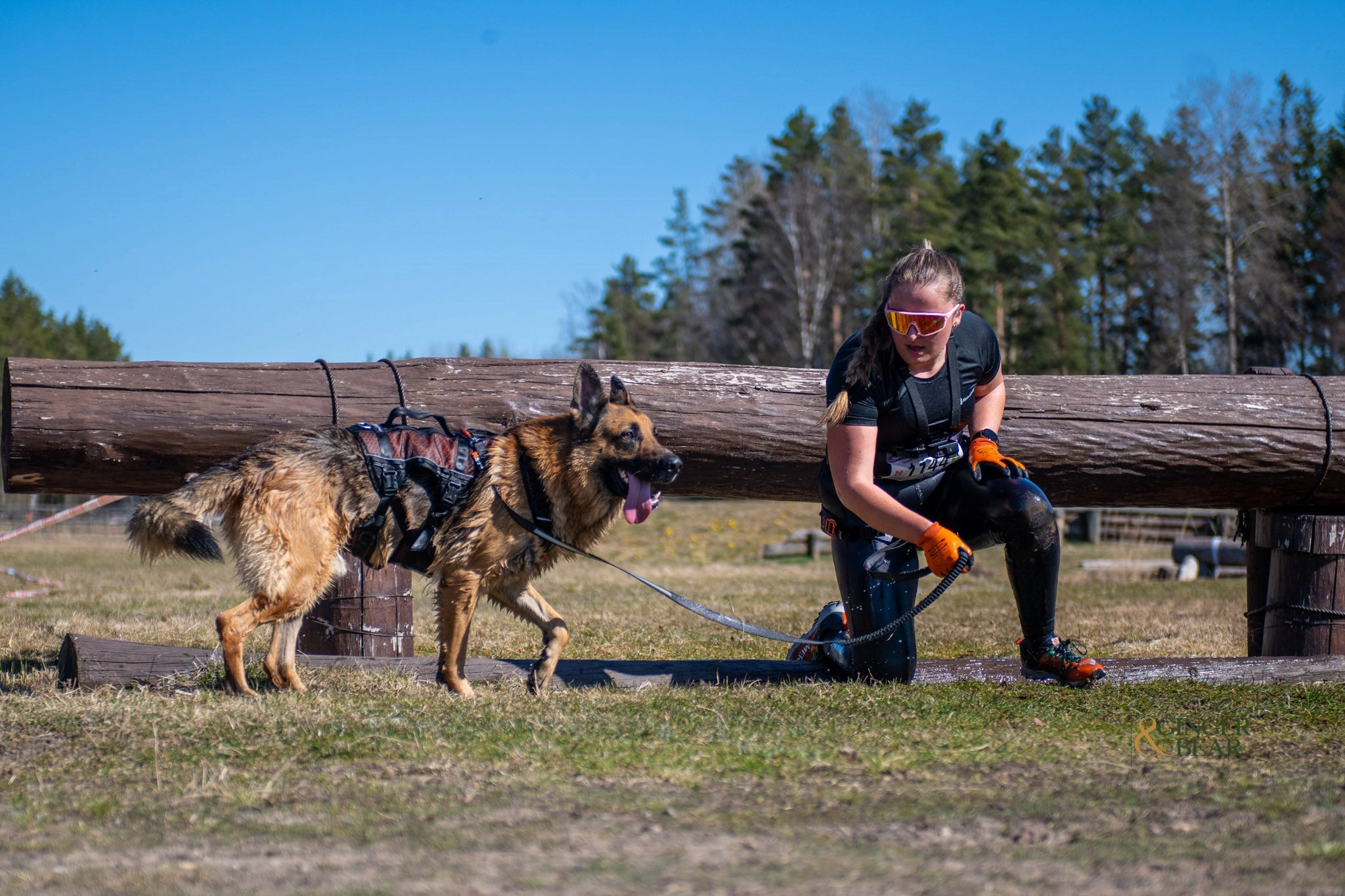 Non-Stop Dog Wear: Rock Harness Long