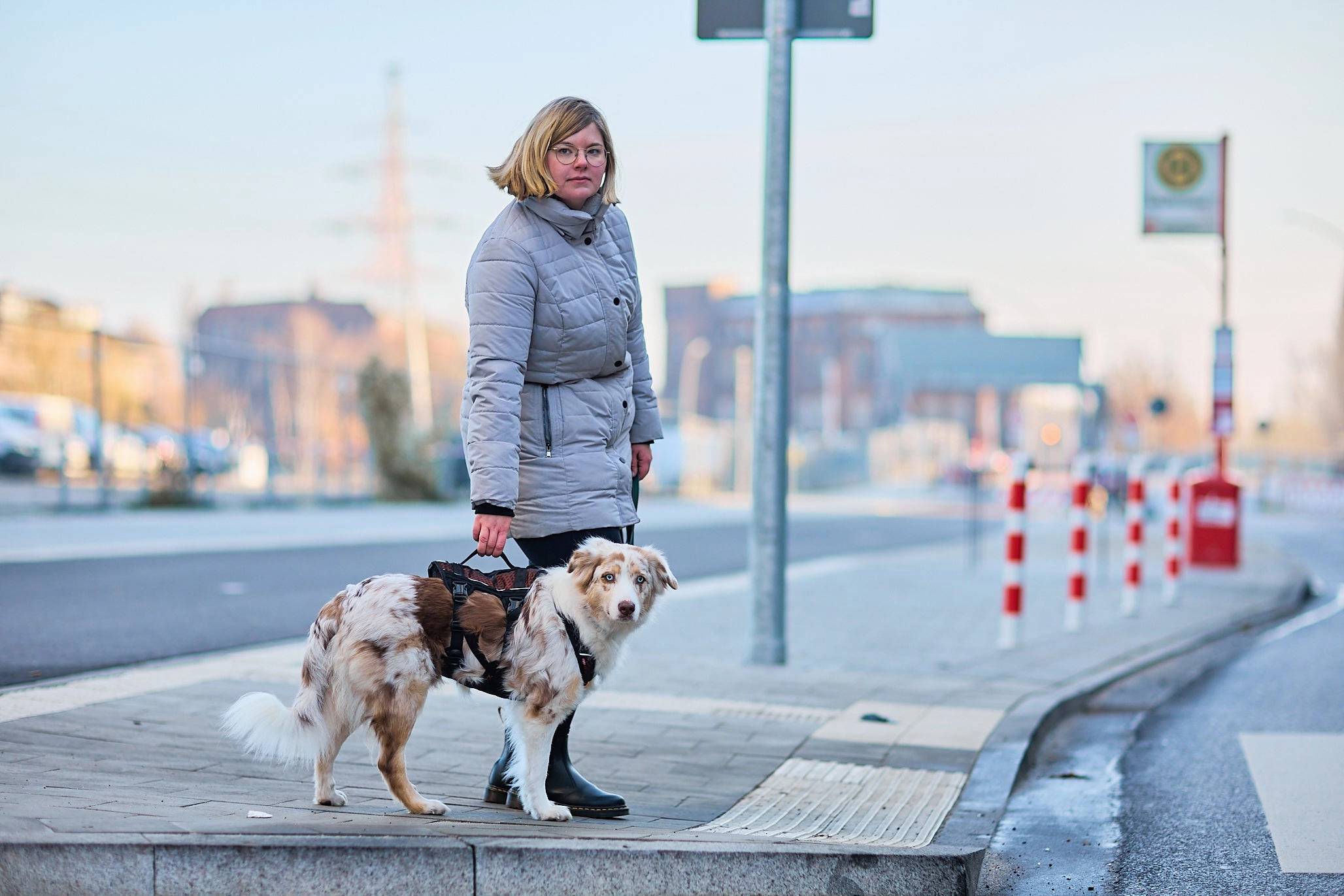 Non-Stop Dog Wear: Rock Harness Long