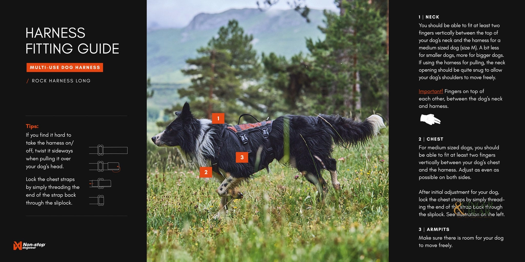 Non-Stop Dog Wear: Rock Harness Long