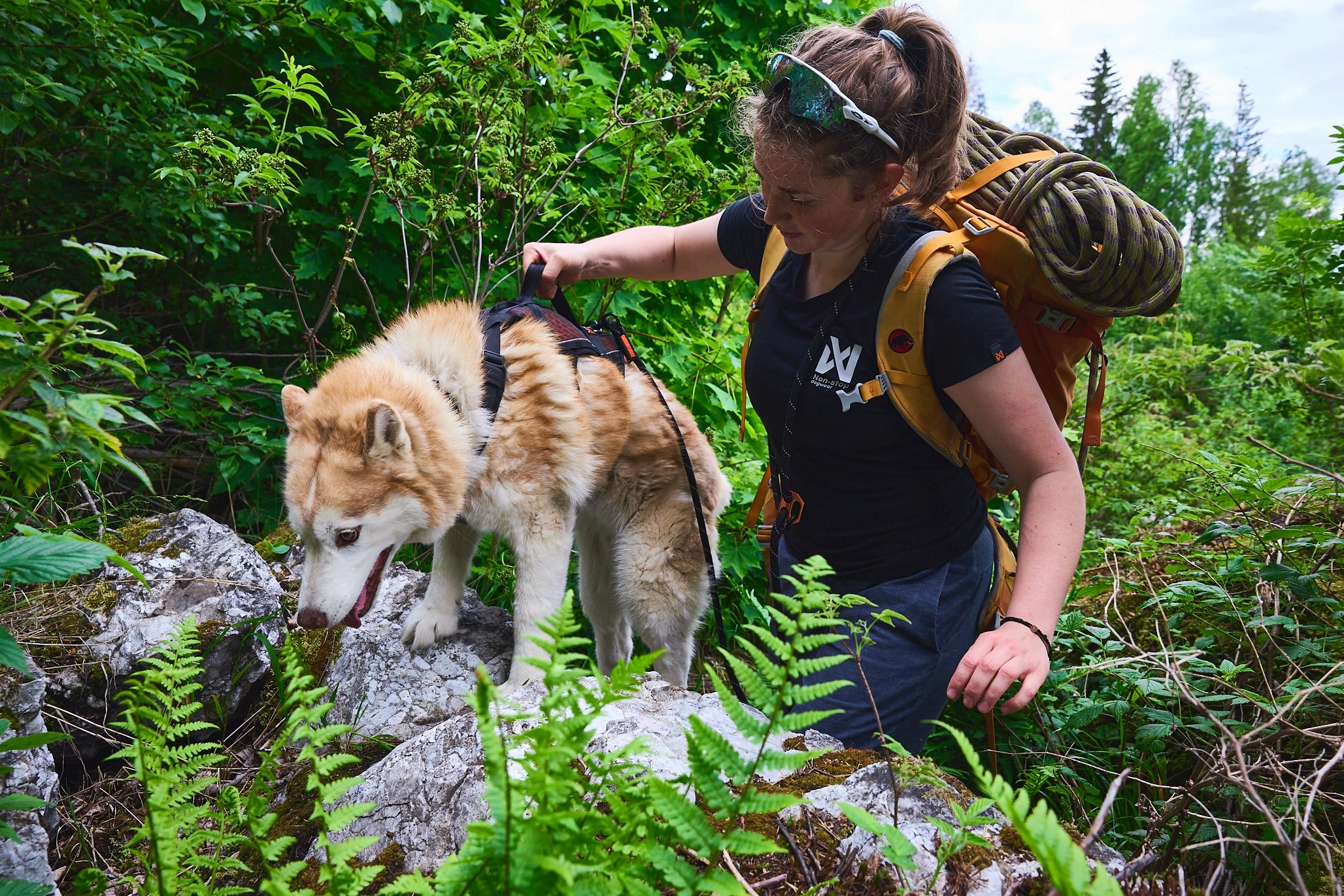 Non-Stop Dog Wear: Rock Harness Long