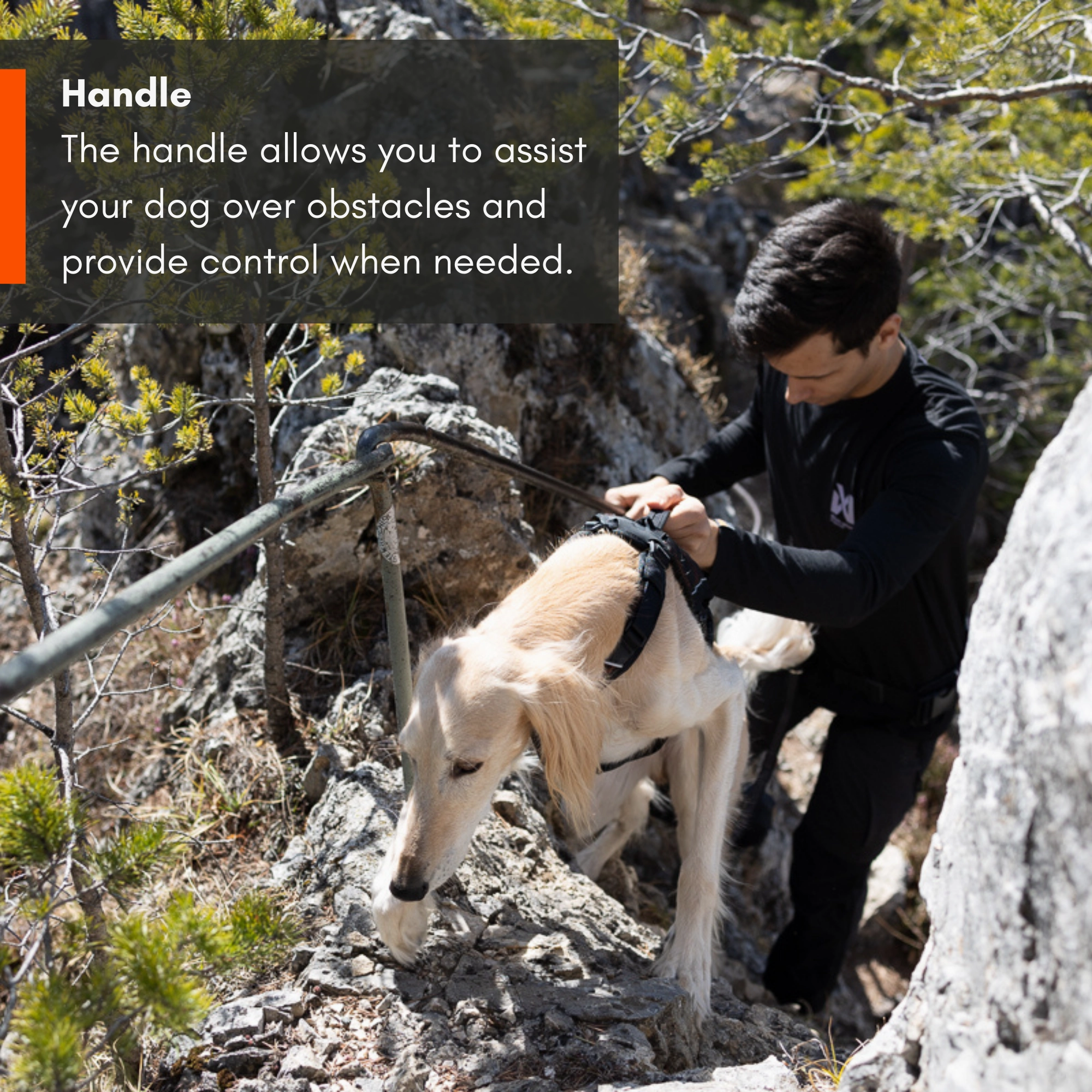 Non-Stop Dog Wear: Rock Harness Long