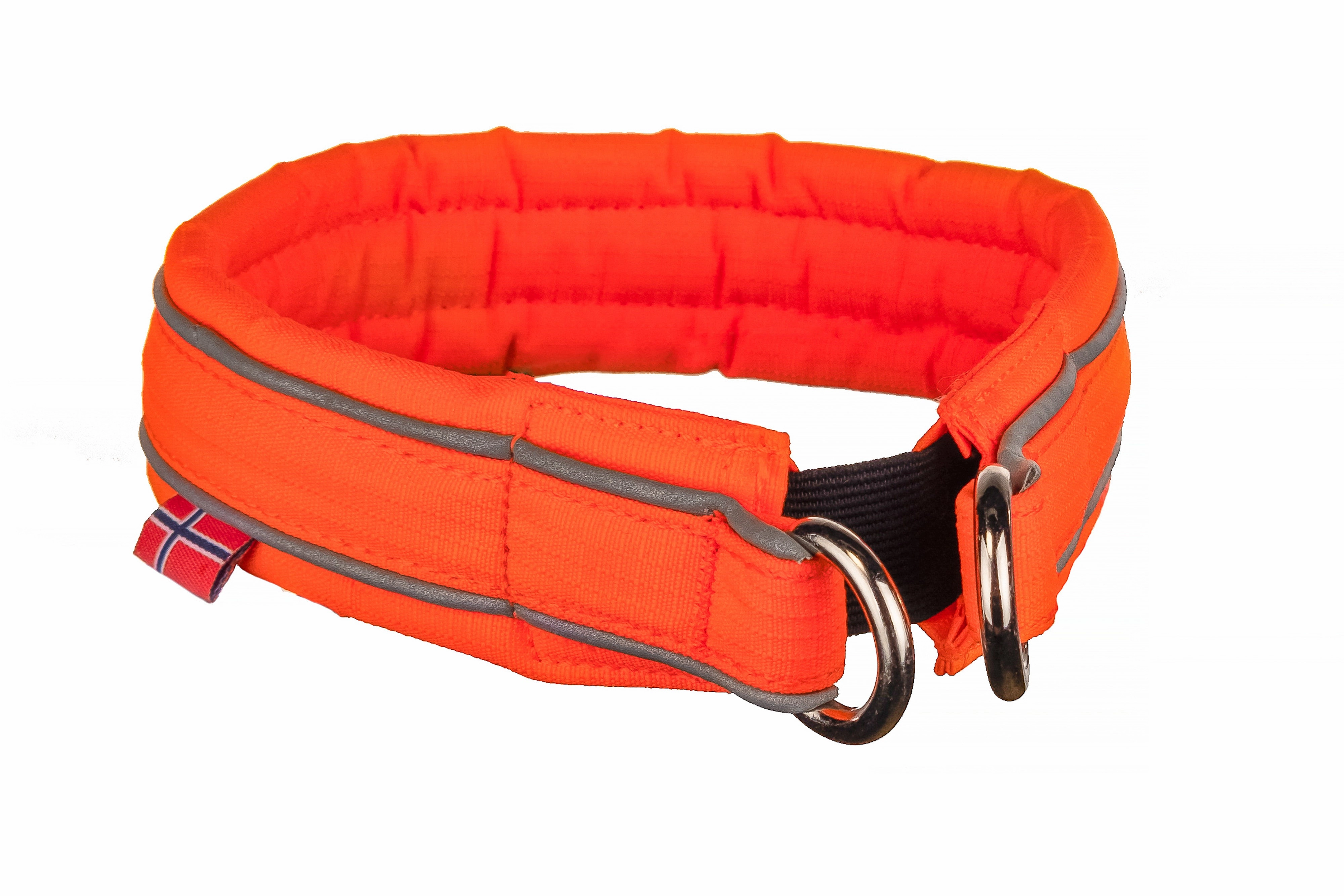 Non-Stop Dog Wear: Safe Collar