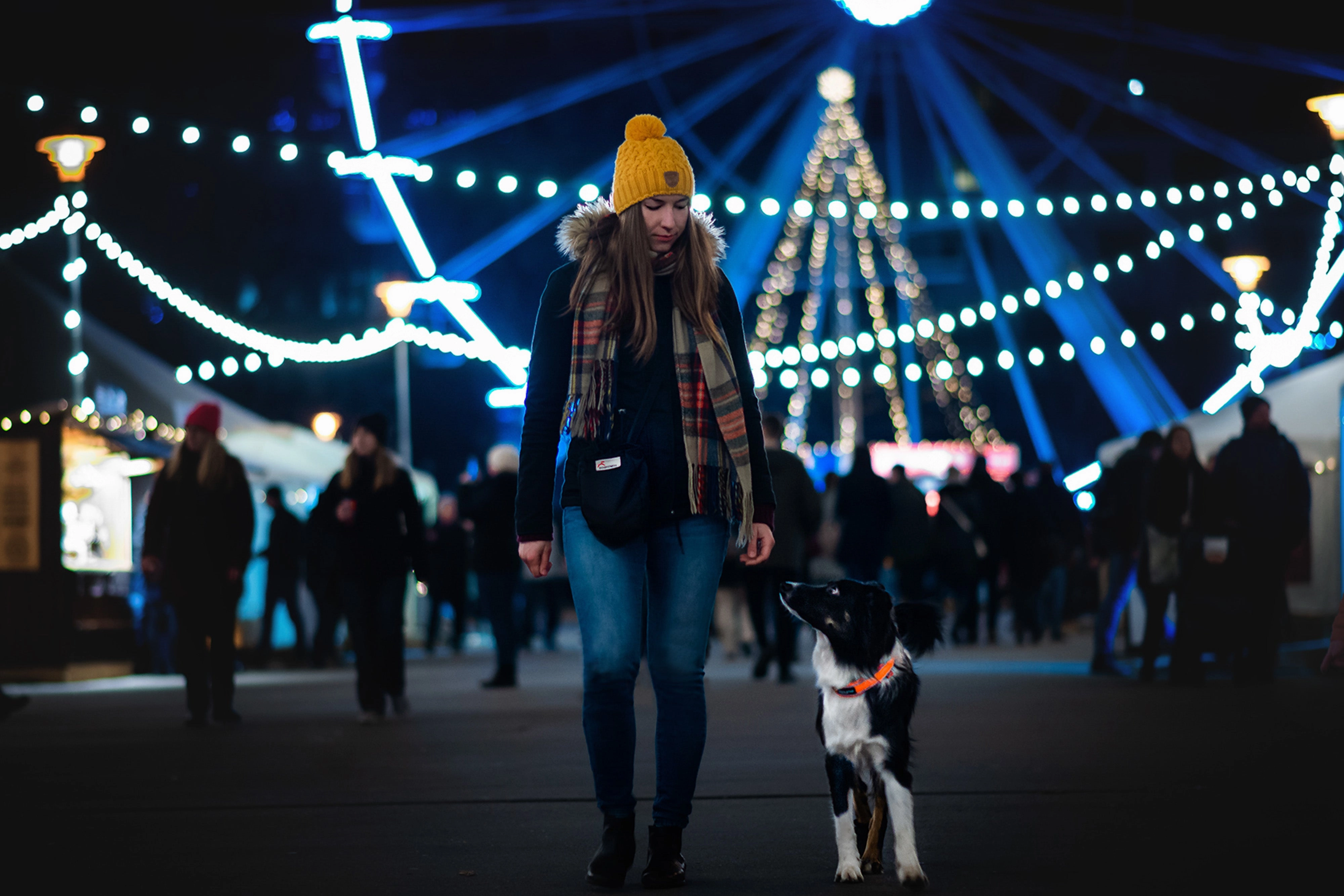 Non-Stop Dog Wear: Safe Collar