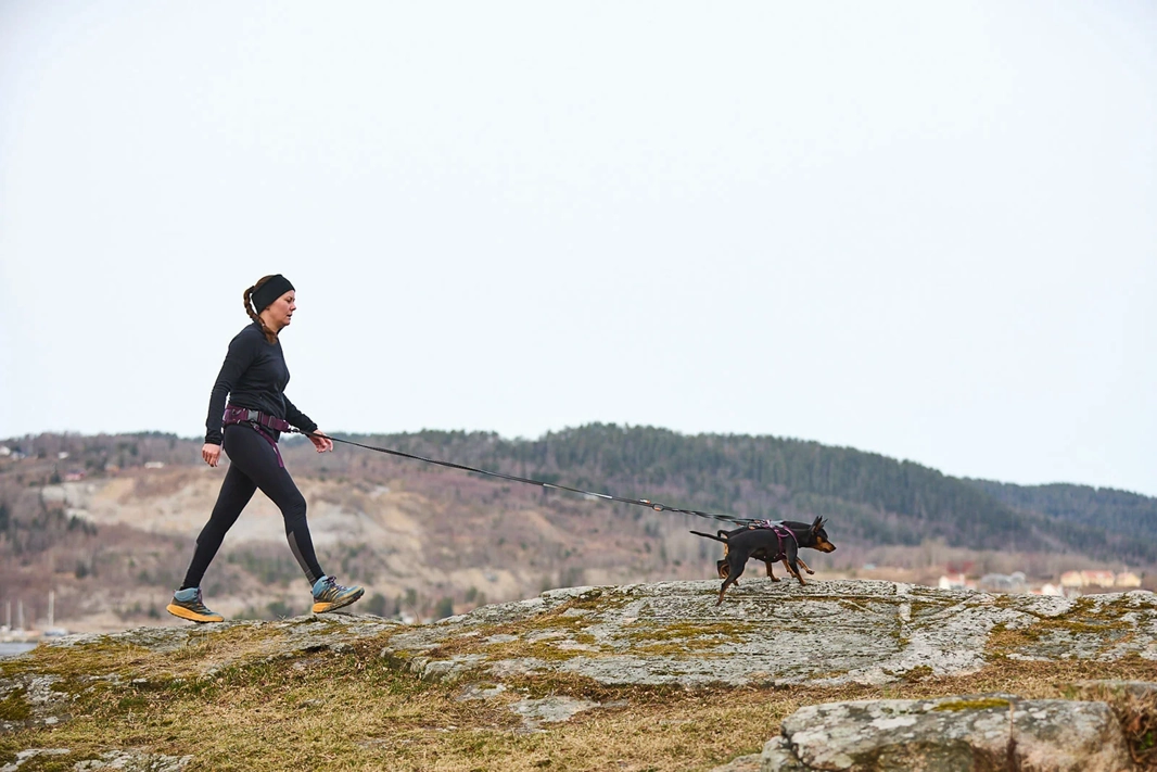 Non-Stop Dog Wear: Trekking Belt 2.0