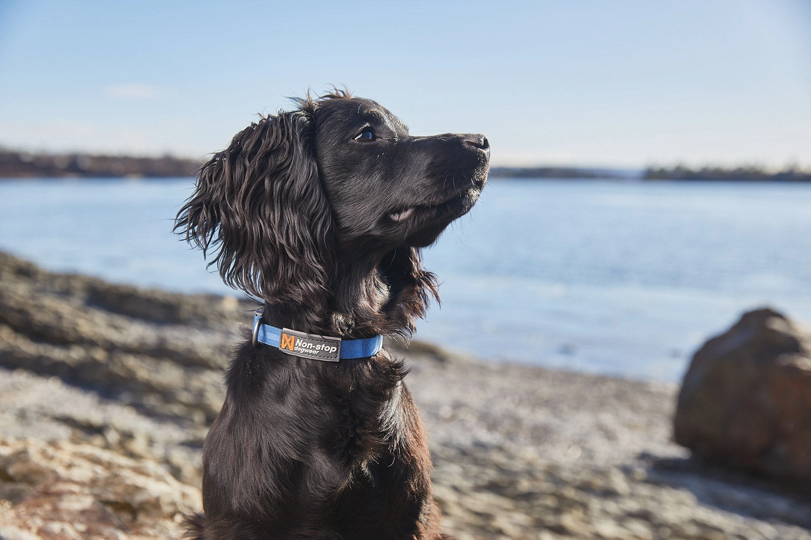Non-Stop Dog Wear: Tumble collar