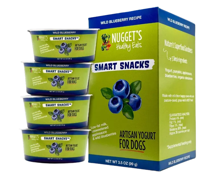 Nugget's Healthy Eats Dog Frozen Yogurt Blueberry 3.5oz 4 PACK