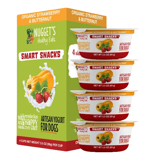 Nugget's Healthy Eats Dog Frozen Yogurt Strawberry 3.5oz Single